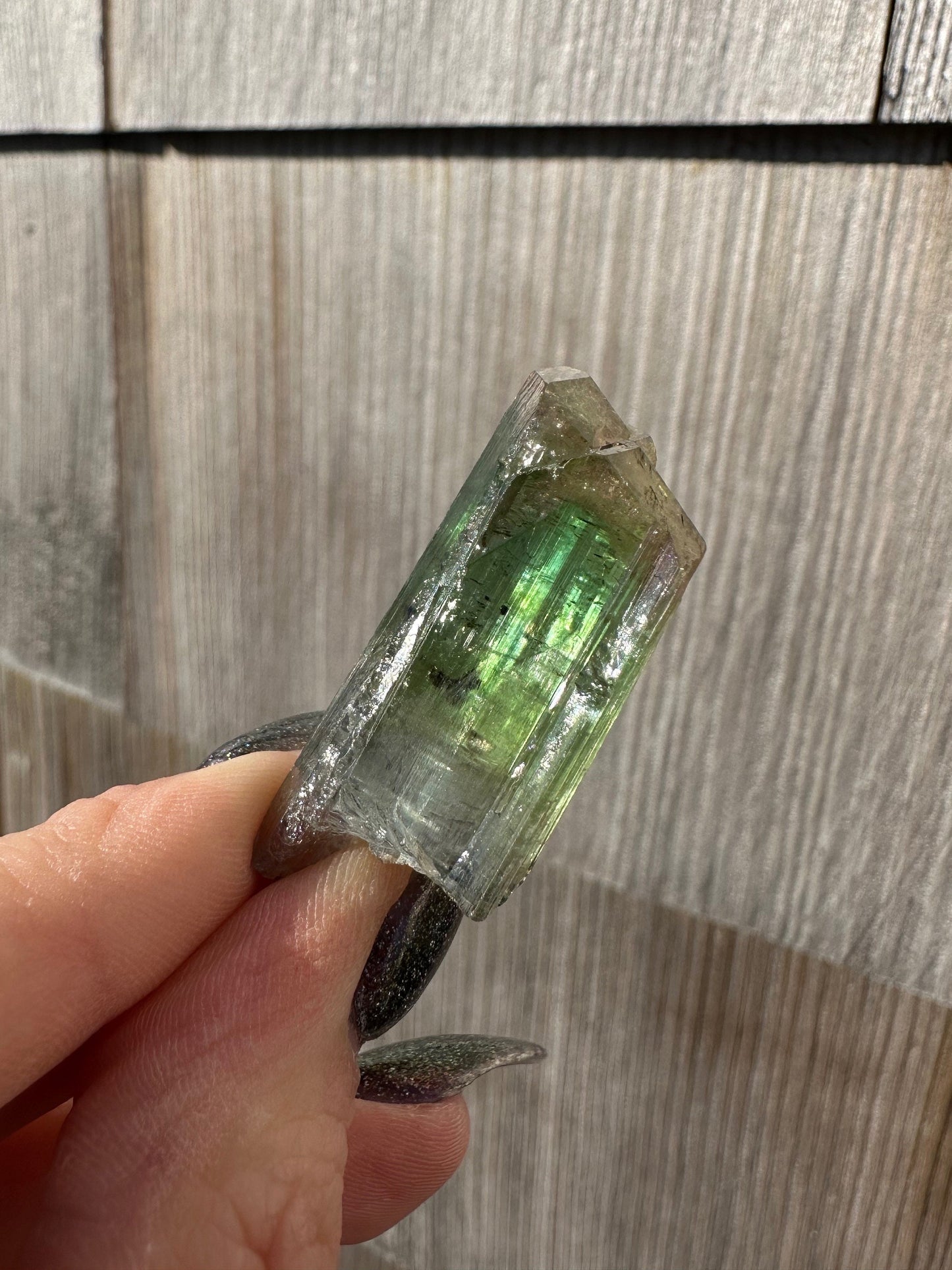 Parti-Colored Tourmaline Crystals from Aricanga Mine, Brazil