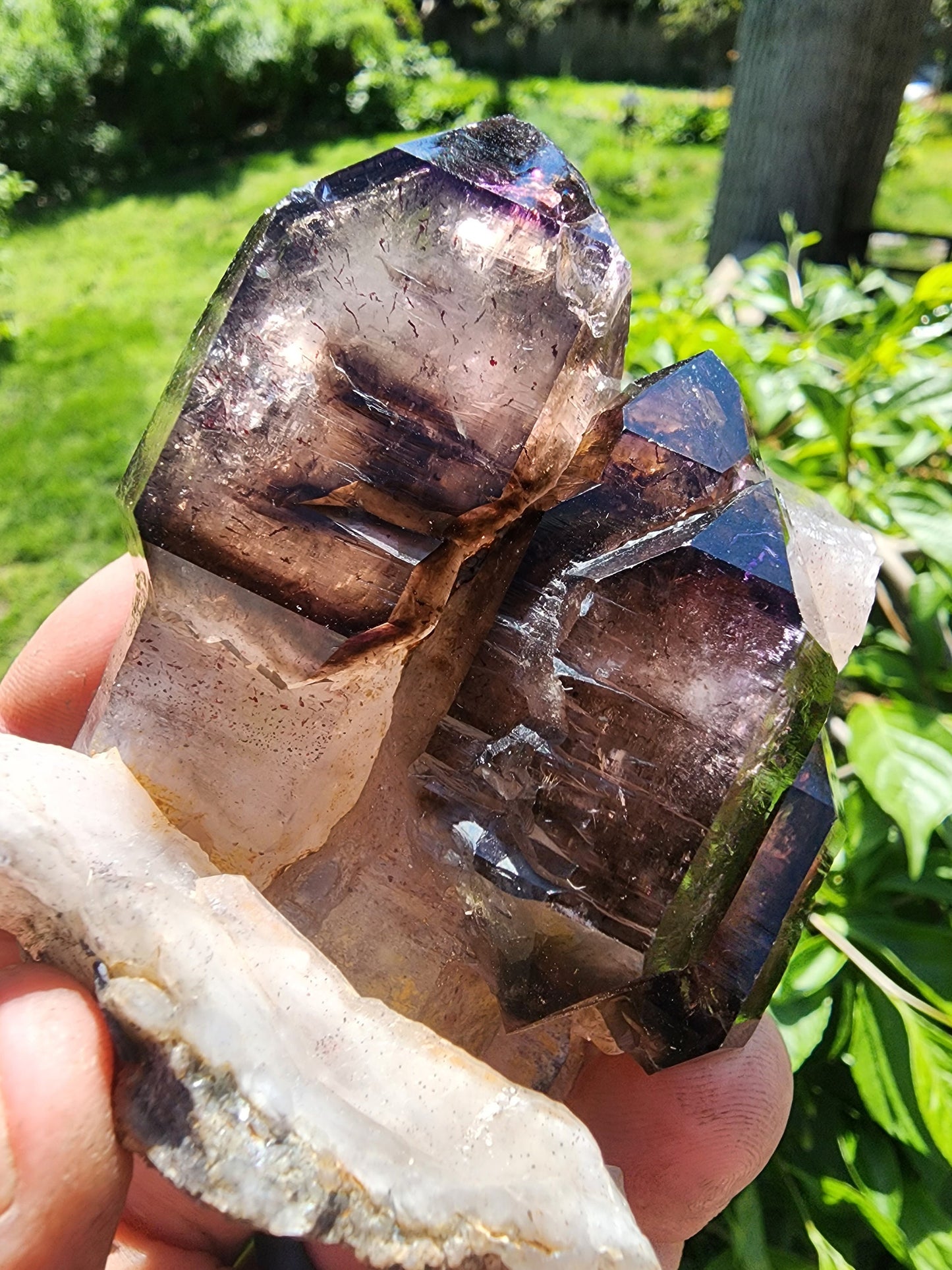 Cabinet Amethyst Scepter Cluster from Zambia Africa