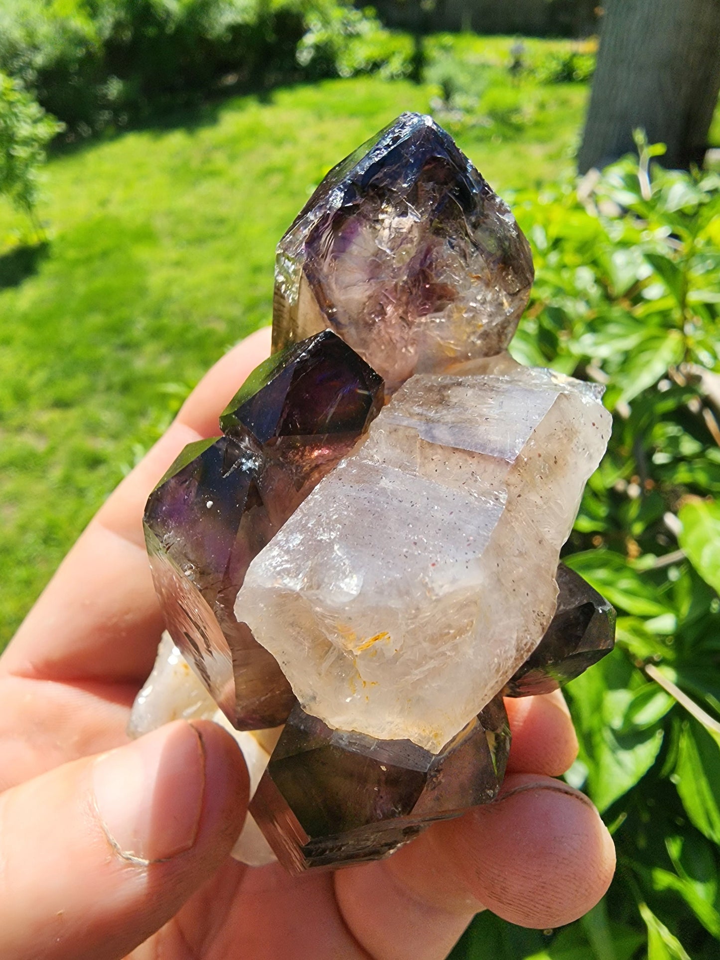 Cabinet Amethyst Scepter Cluster from Zambia Africa