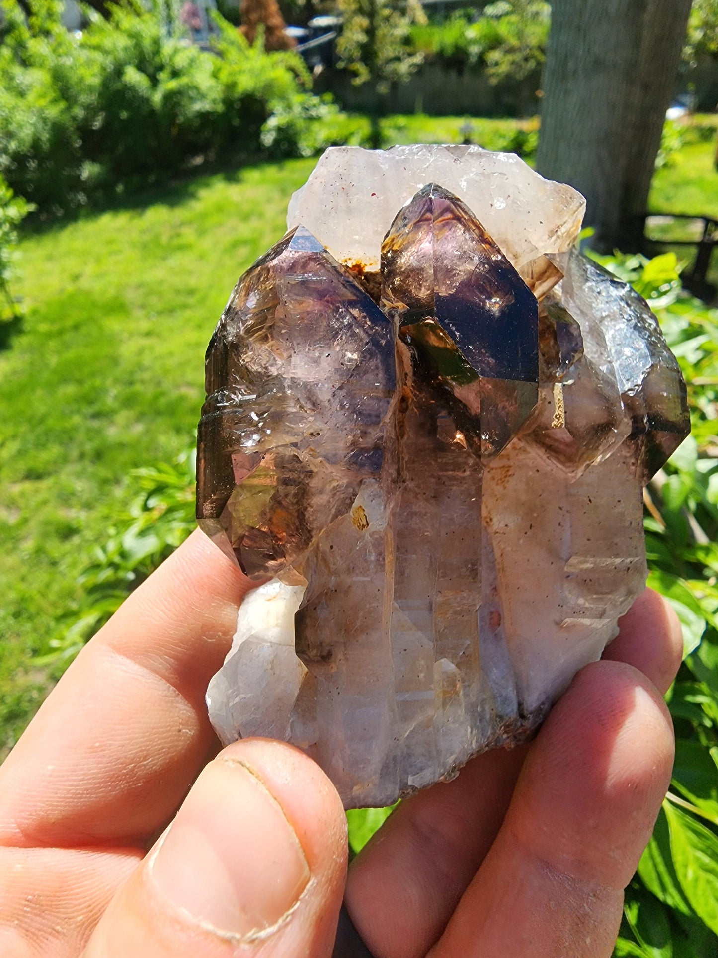 Cabinet Amethyst Scepter Cluster from Zambia Africa