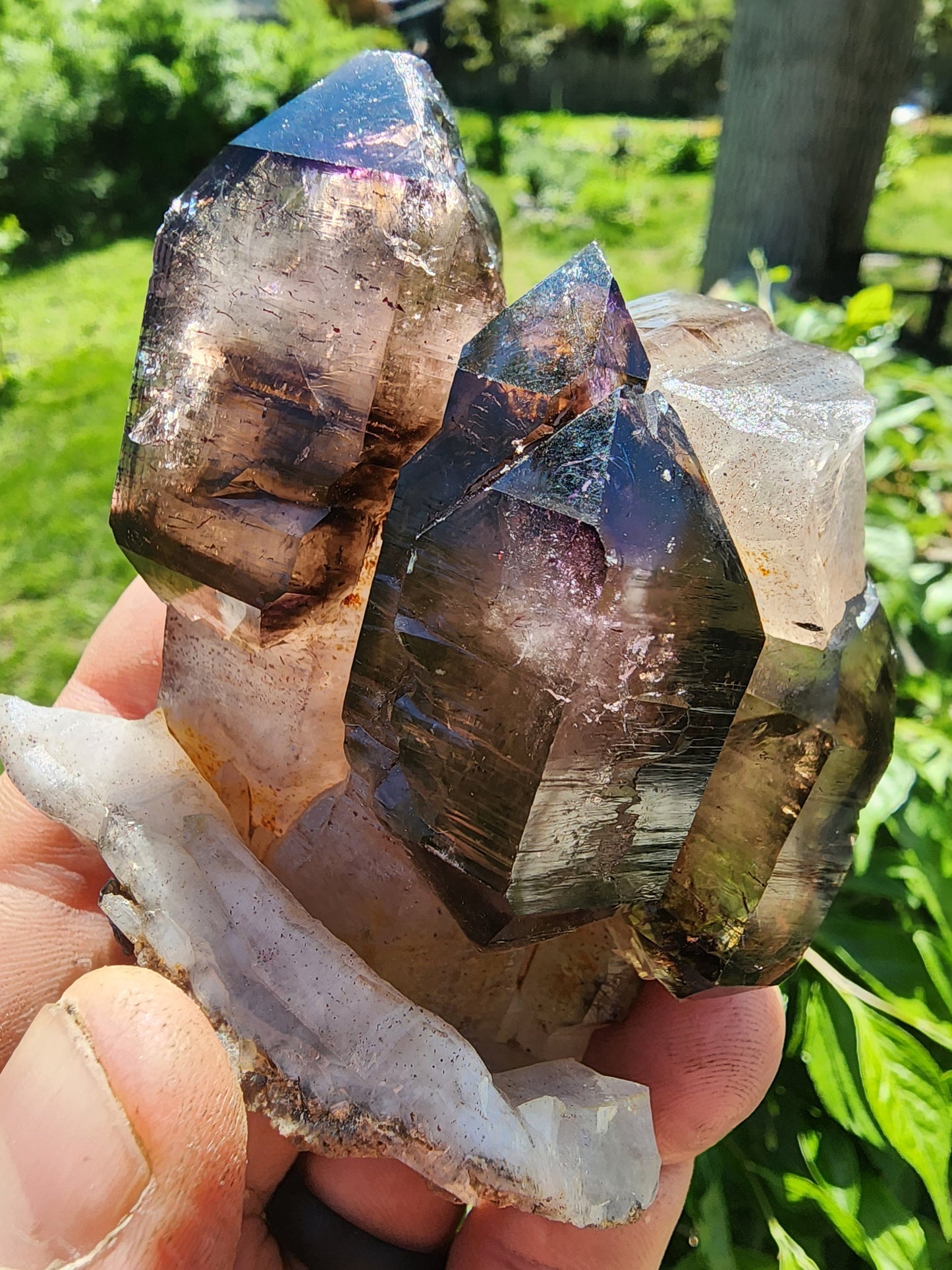 Cabinet Amethyst Scepter Cluster from Zambia Africa