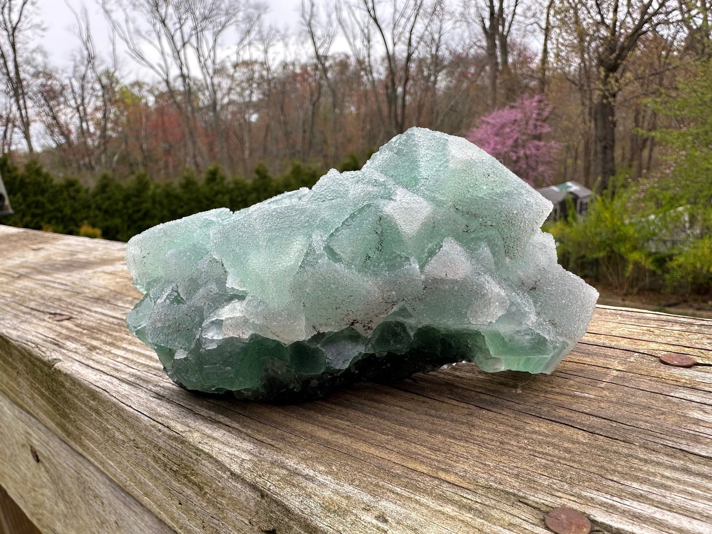 Cabinet Green Sugar Coated Fluorite from China