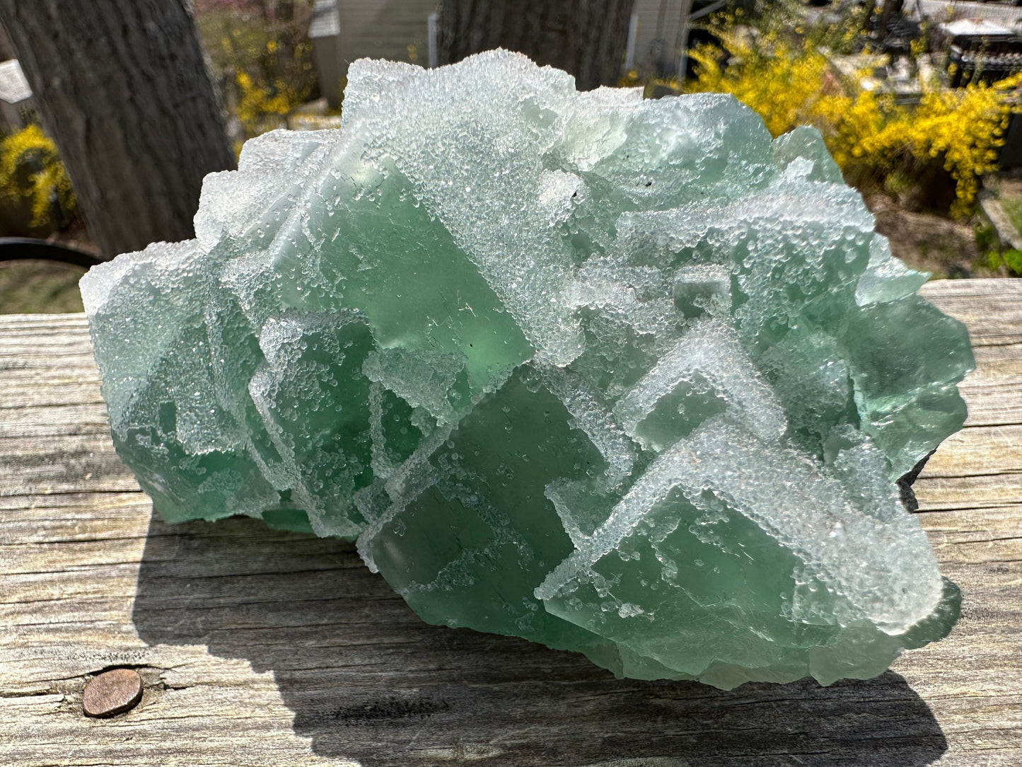 Cabinet Green Sugar Coated Fluorite from China