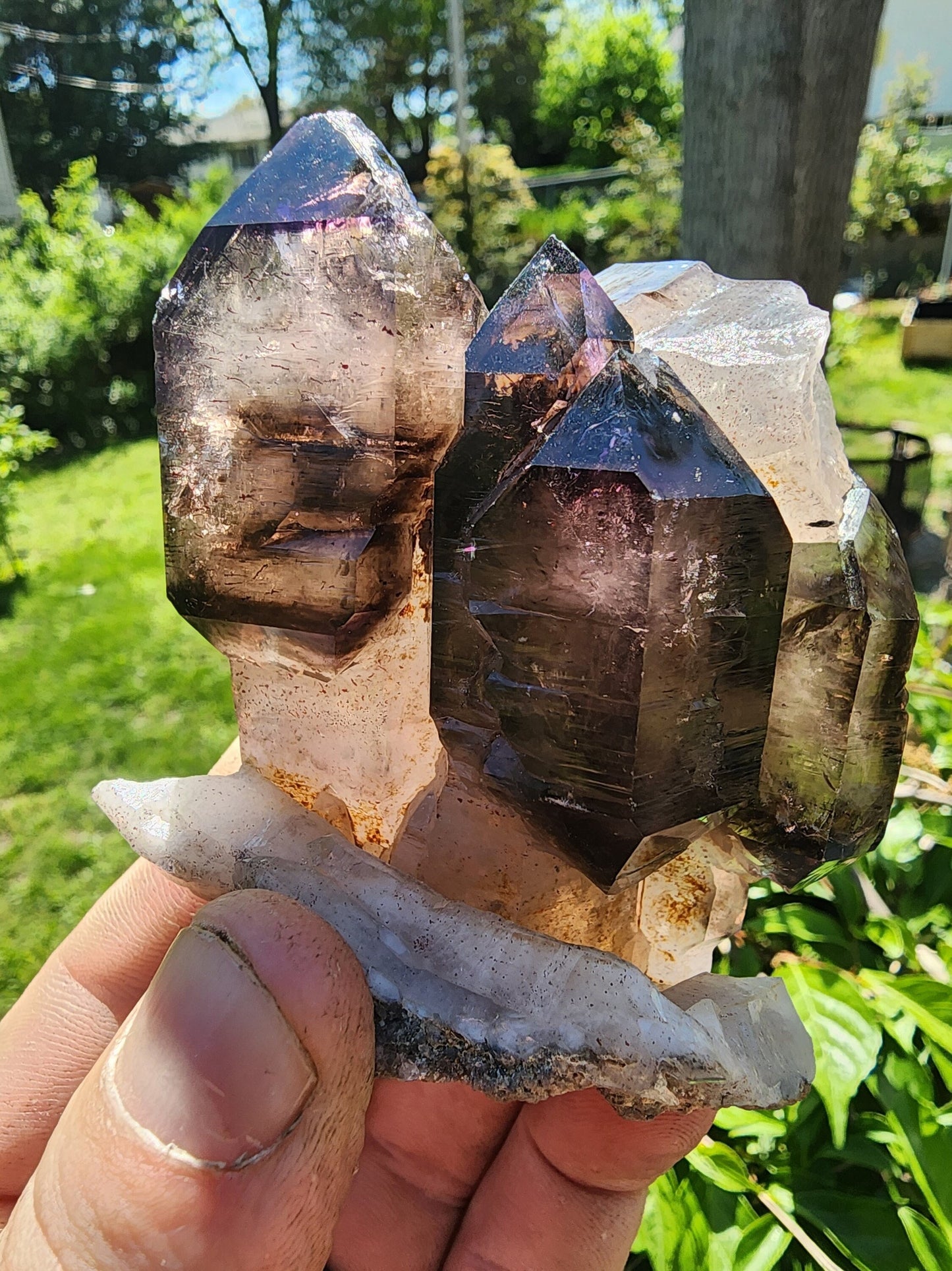 Cabinet Amethyst Scepter Cluster from Zambia Africa
