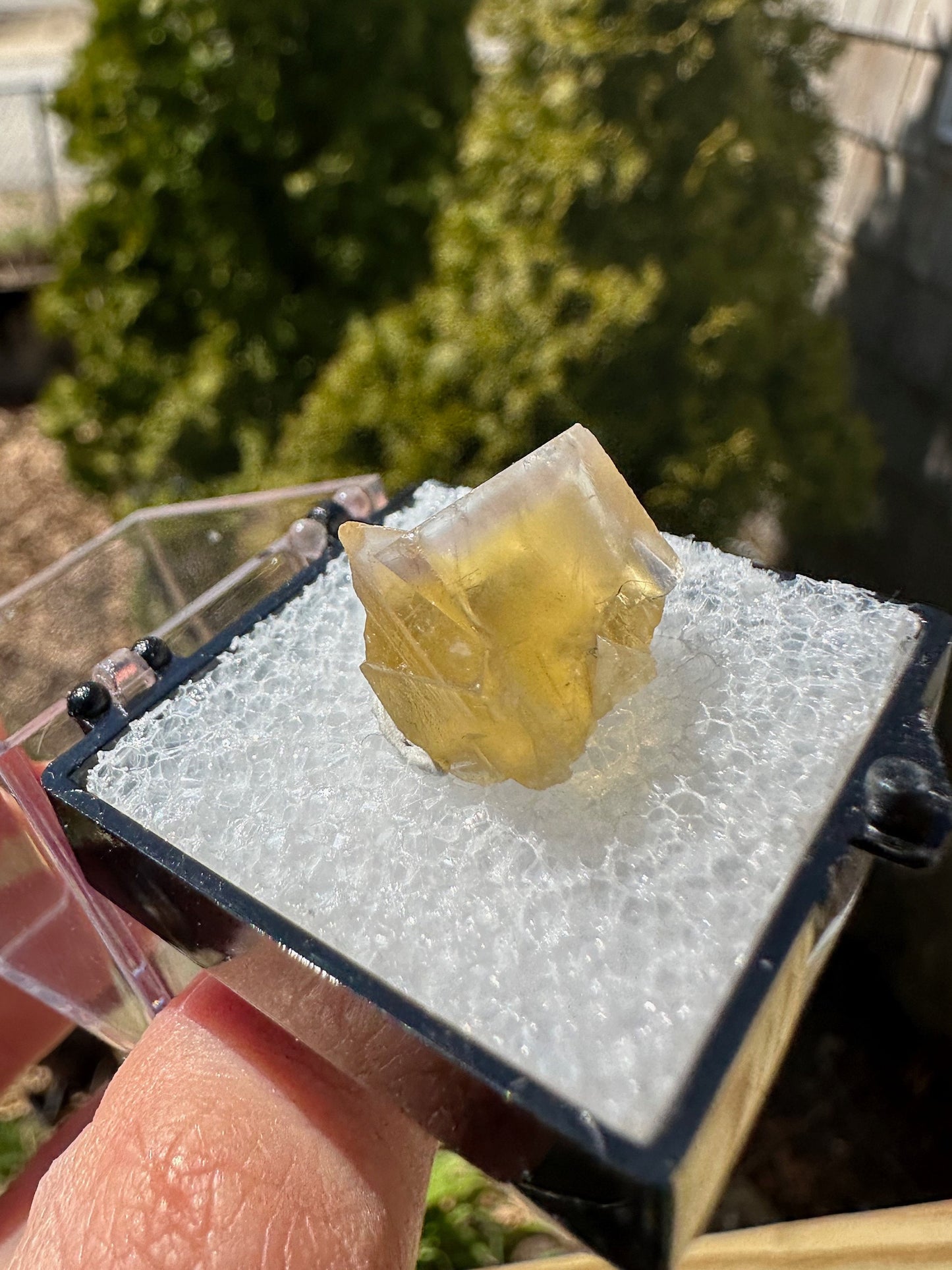 Yellow Fluorite from Bull Vein Pocket at Lady Annabella Mine UK