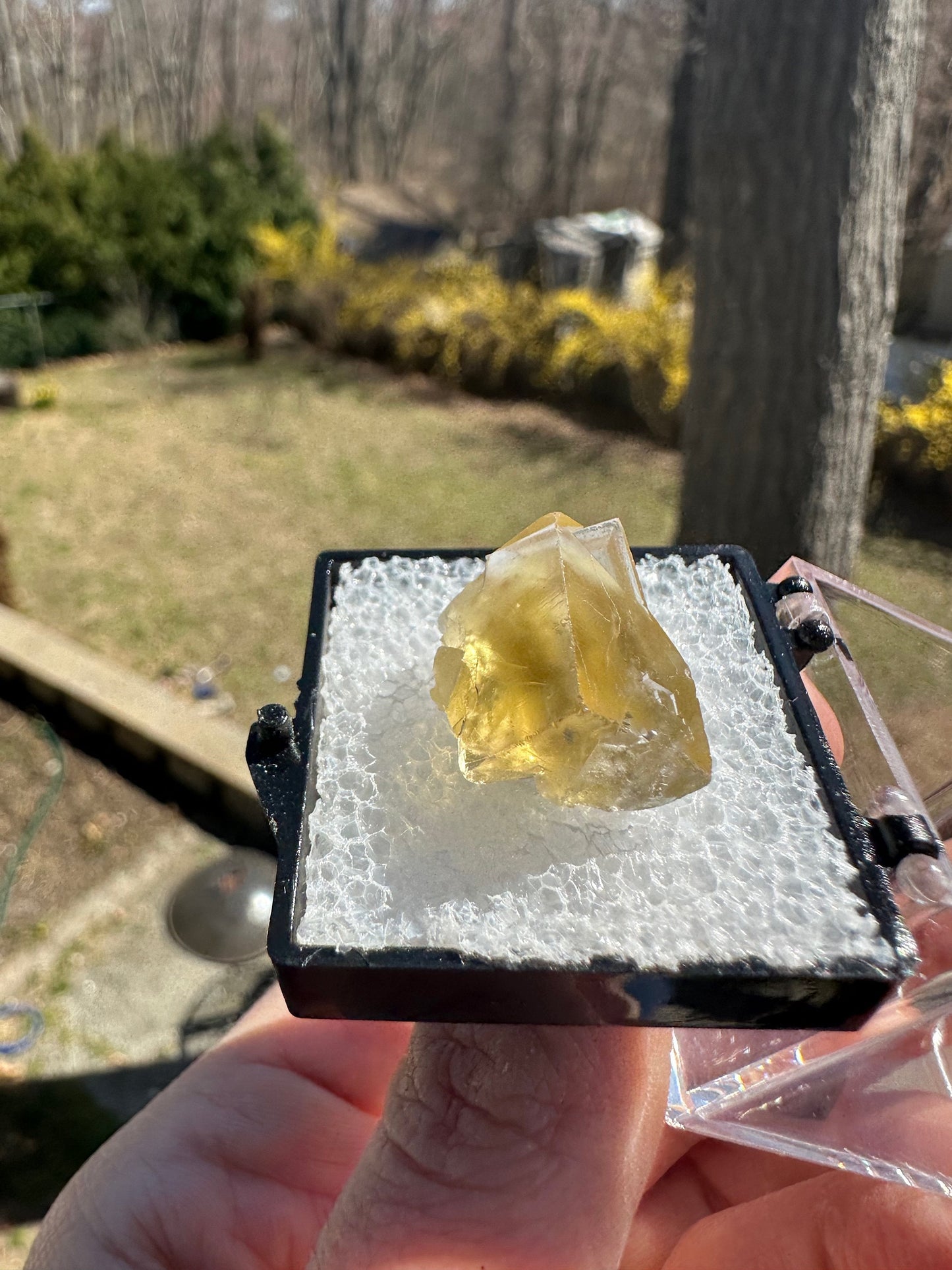 Yellow Fluorite from Bull Vein Pocket at Lady Annabella Mine UK