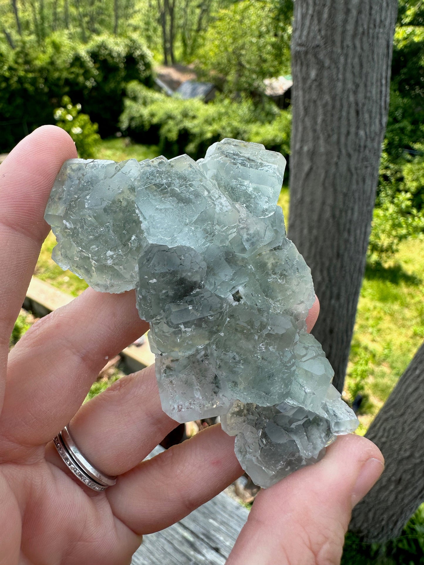 Cubic Pale Green Fluorite Cluster from China