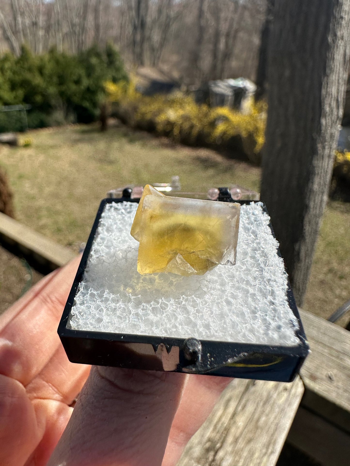 Yellow Fluorite from Bull Vein Pocket at Lady Annabella Mine UK