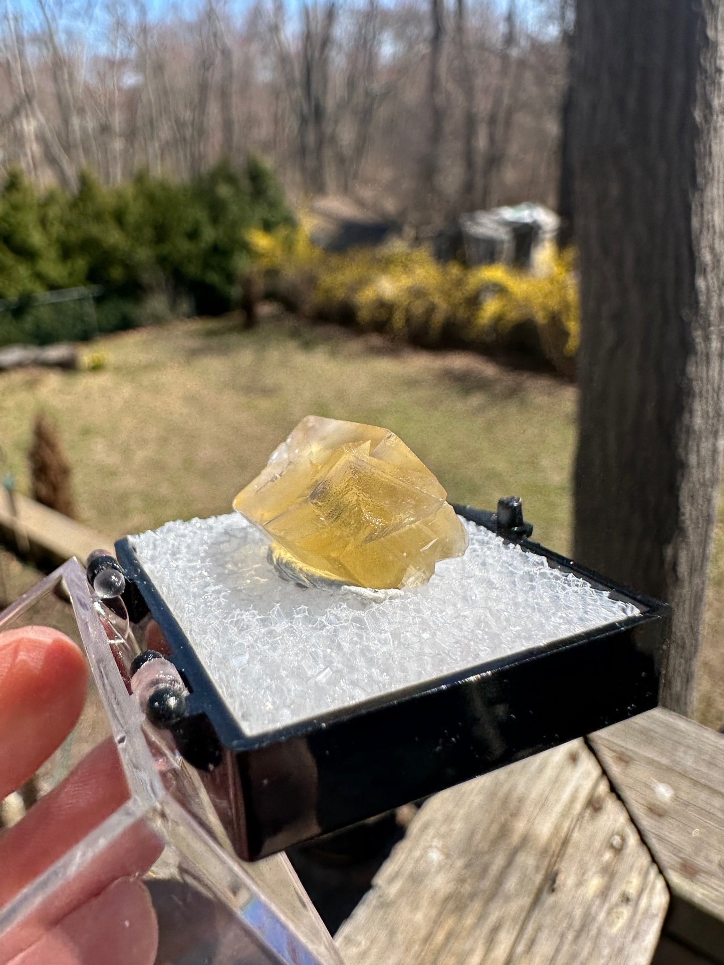 Yellow Fluorite from Bull Vein Pocket at Lady Annabella Mine UK
