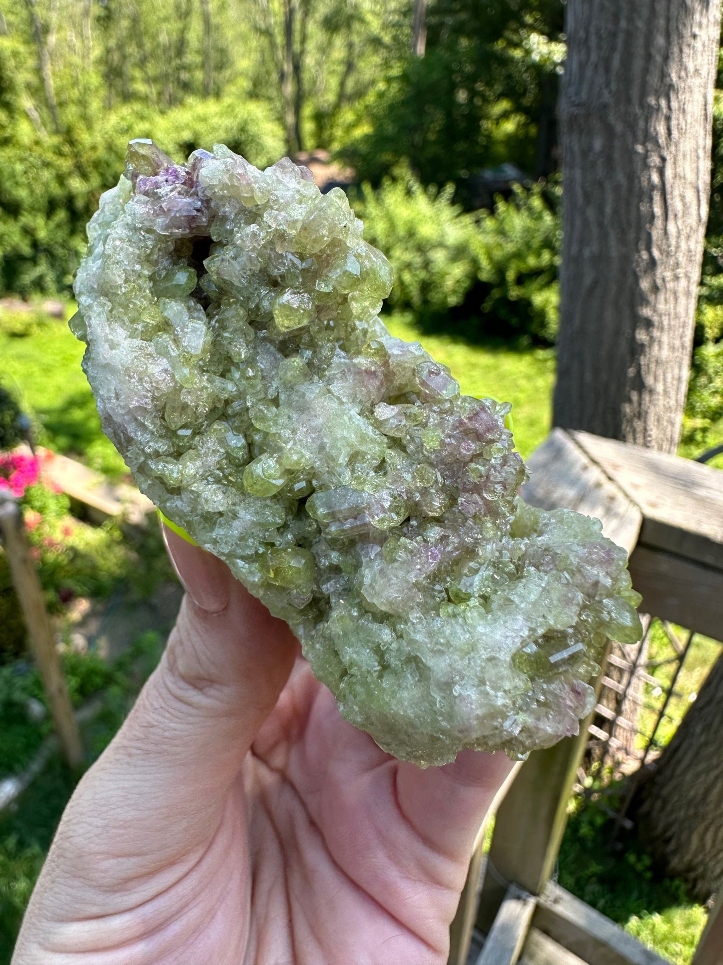 Cabinet Vesuvianite Crystal Cluster from Jeffrey Mine Canada