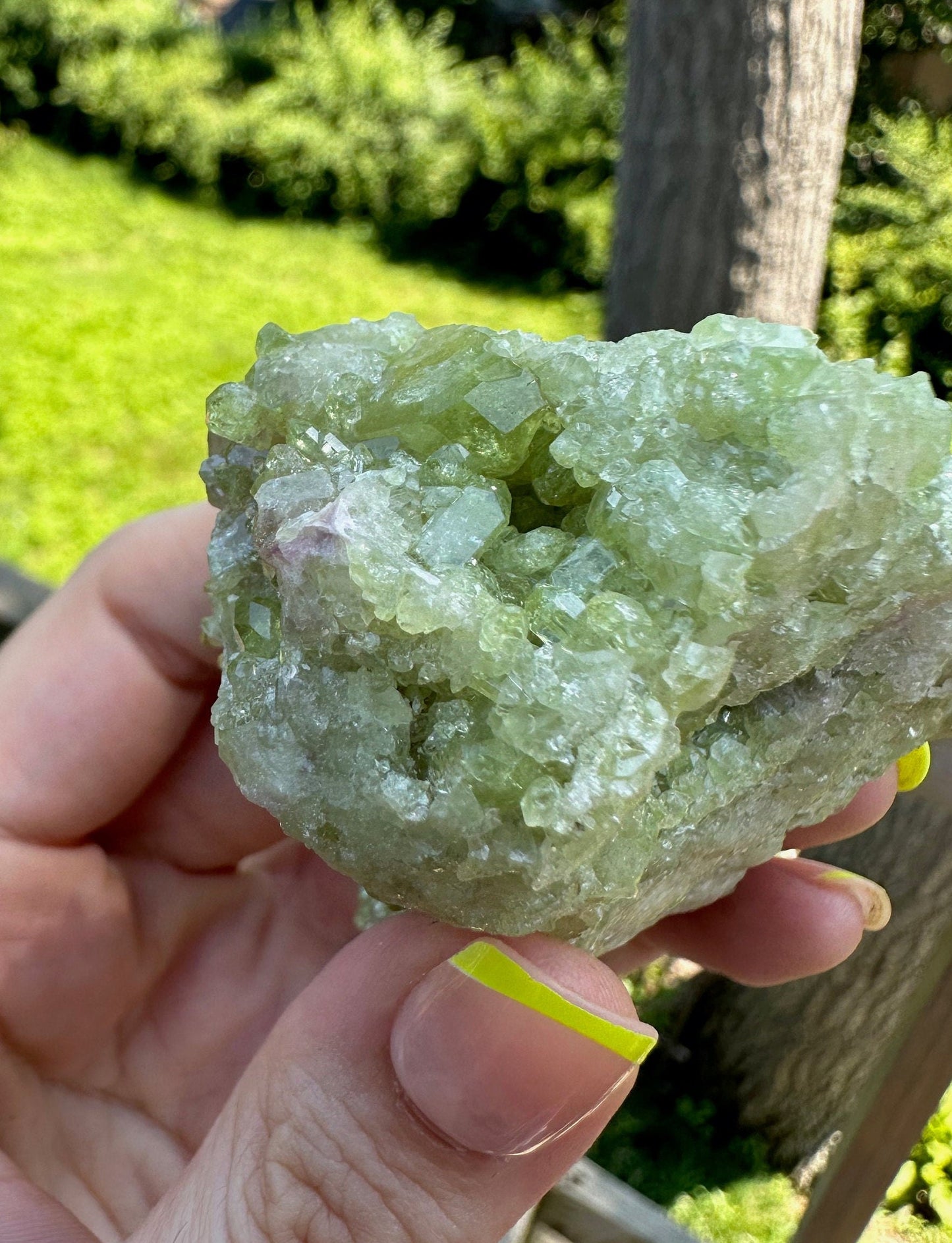 Cabinet Vesuvianite Crystal Cluster from Jeffrey Mine Canada