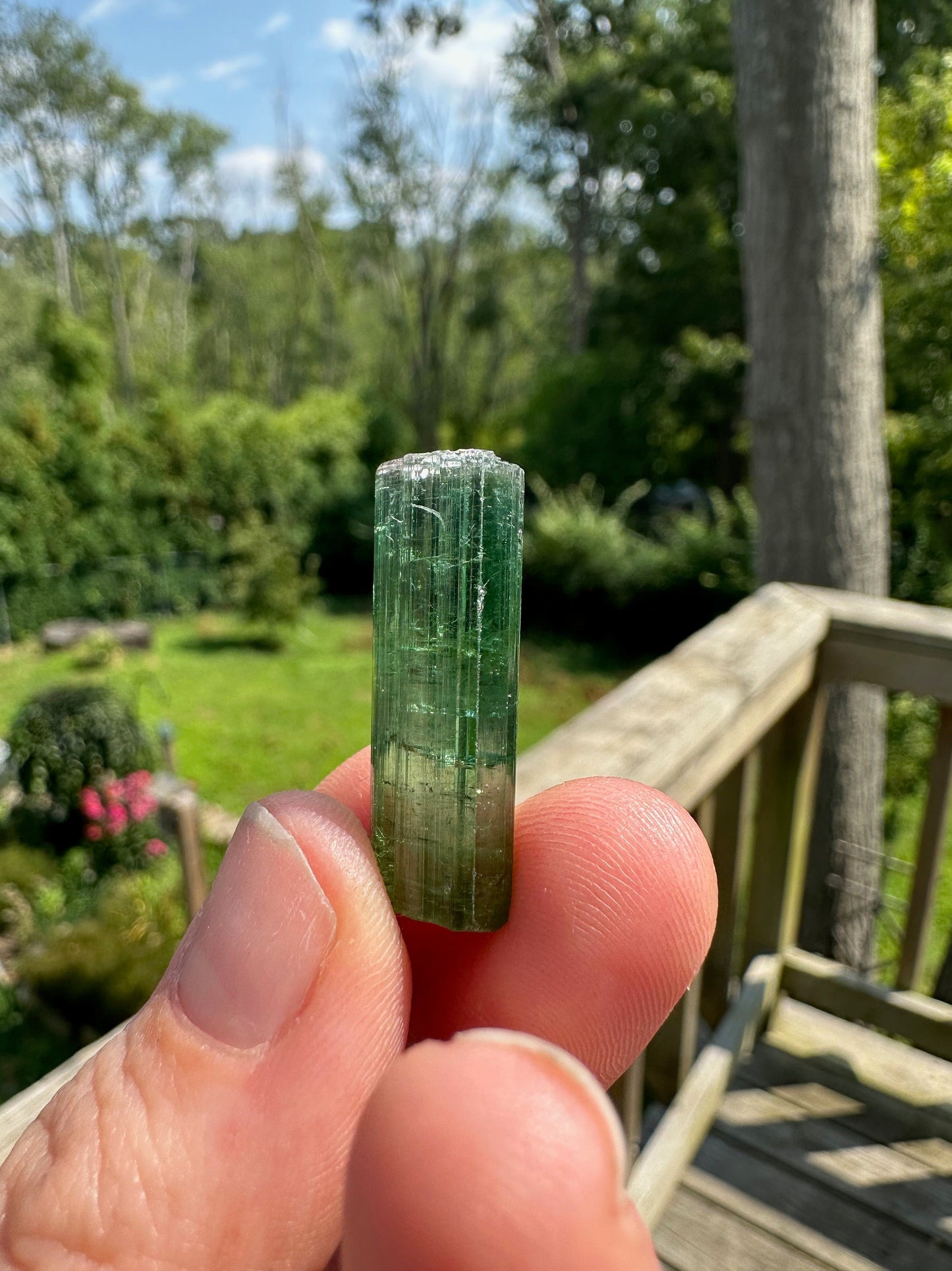 Gem Elbaite Tourmaline Crystal from Brazil