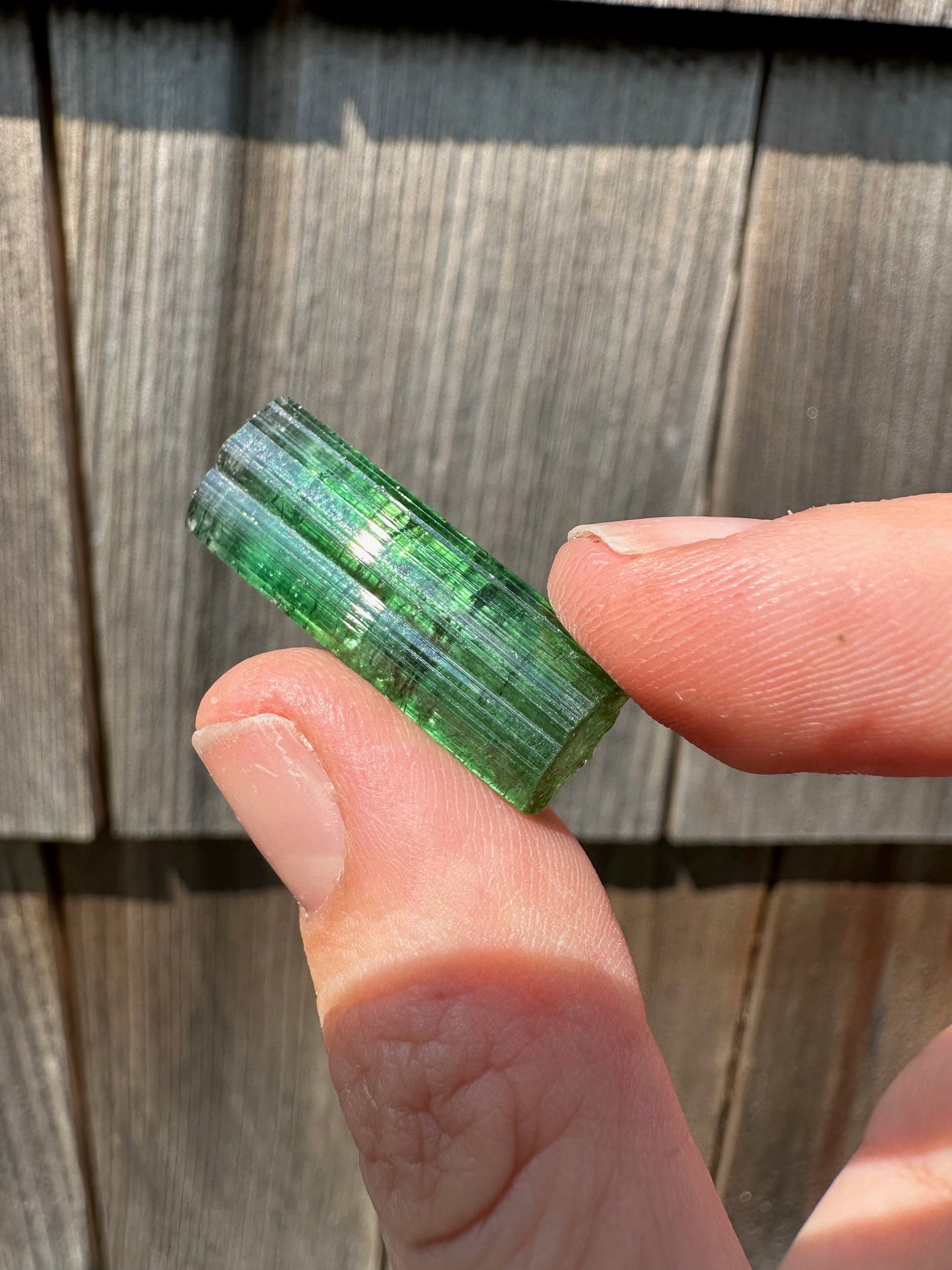 Gem Elbaite Tourmaline Crystal from Brazil