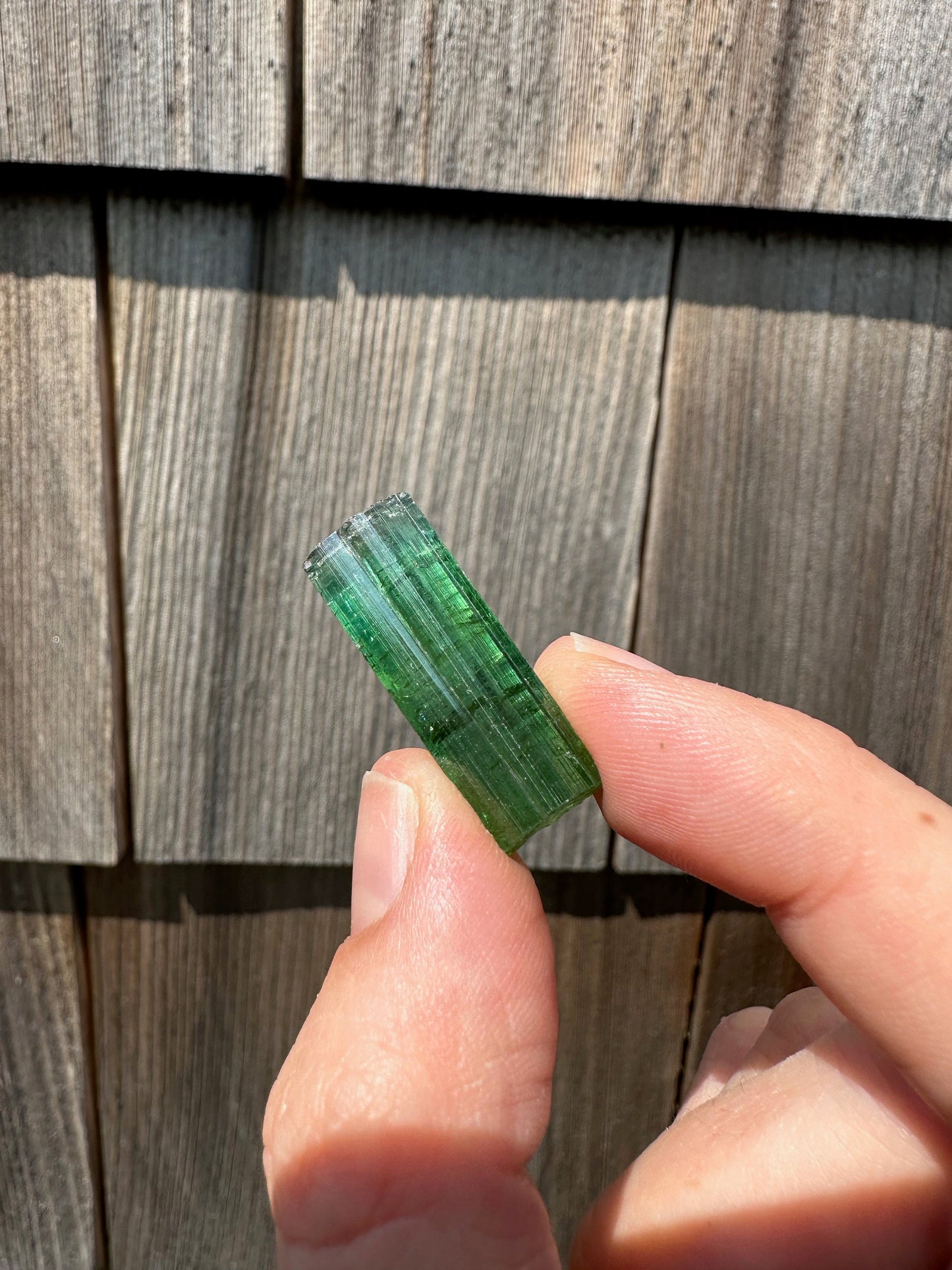 Gem Elbaite Tourmaline Crystal from Brazil