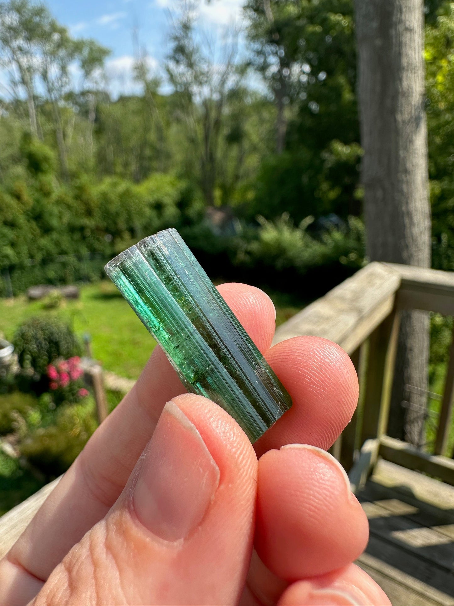 Gem Elbaite Tourmaline Crystal from Brazil