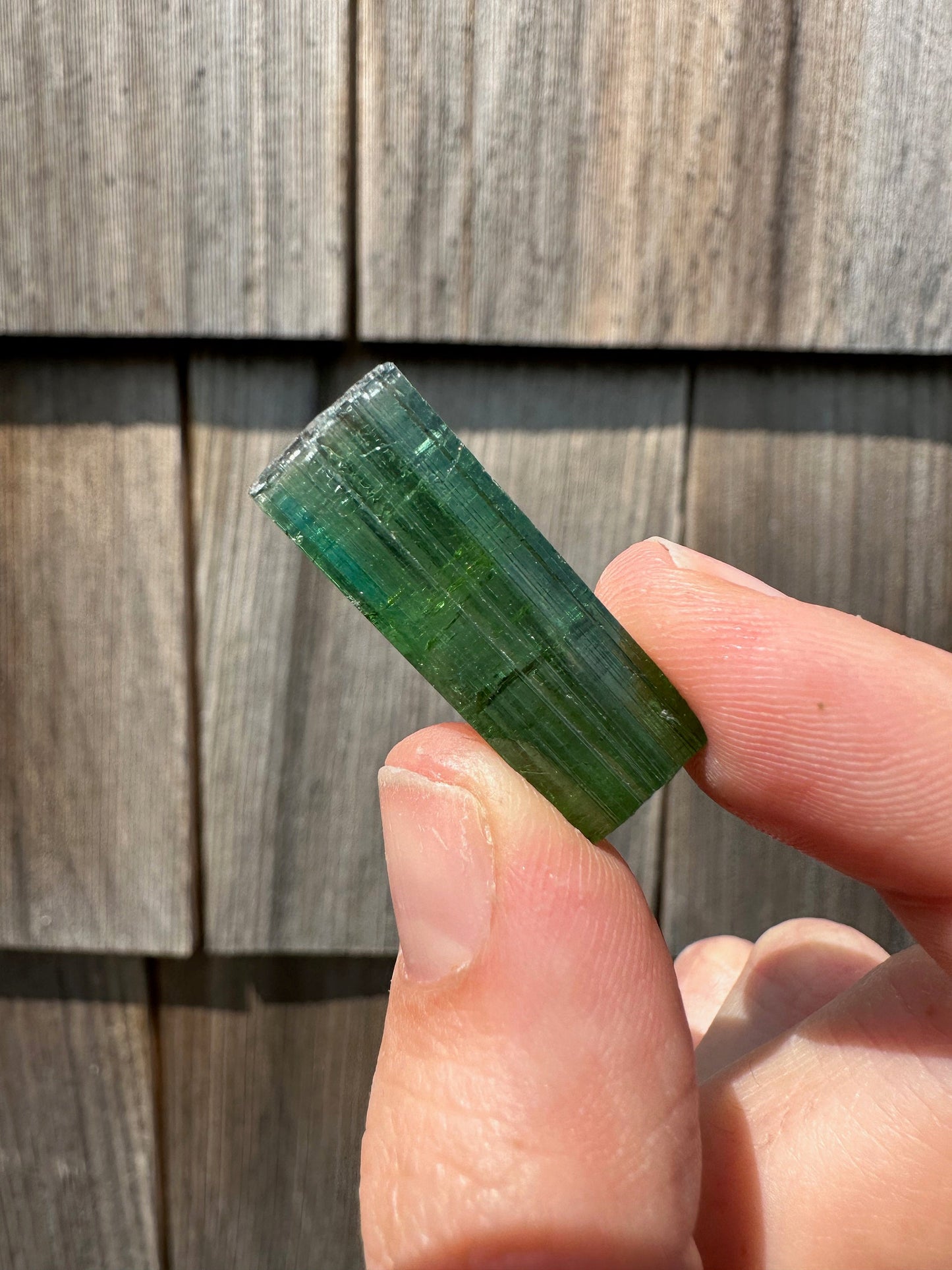 Gem Elbaite Tourmaline Crystal from Brazil