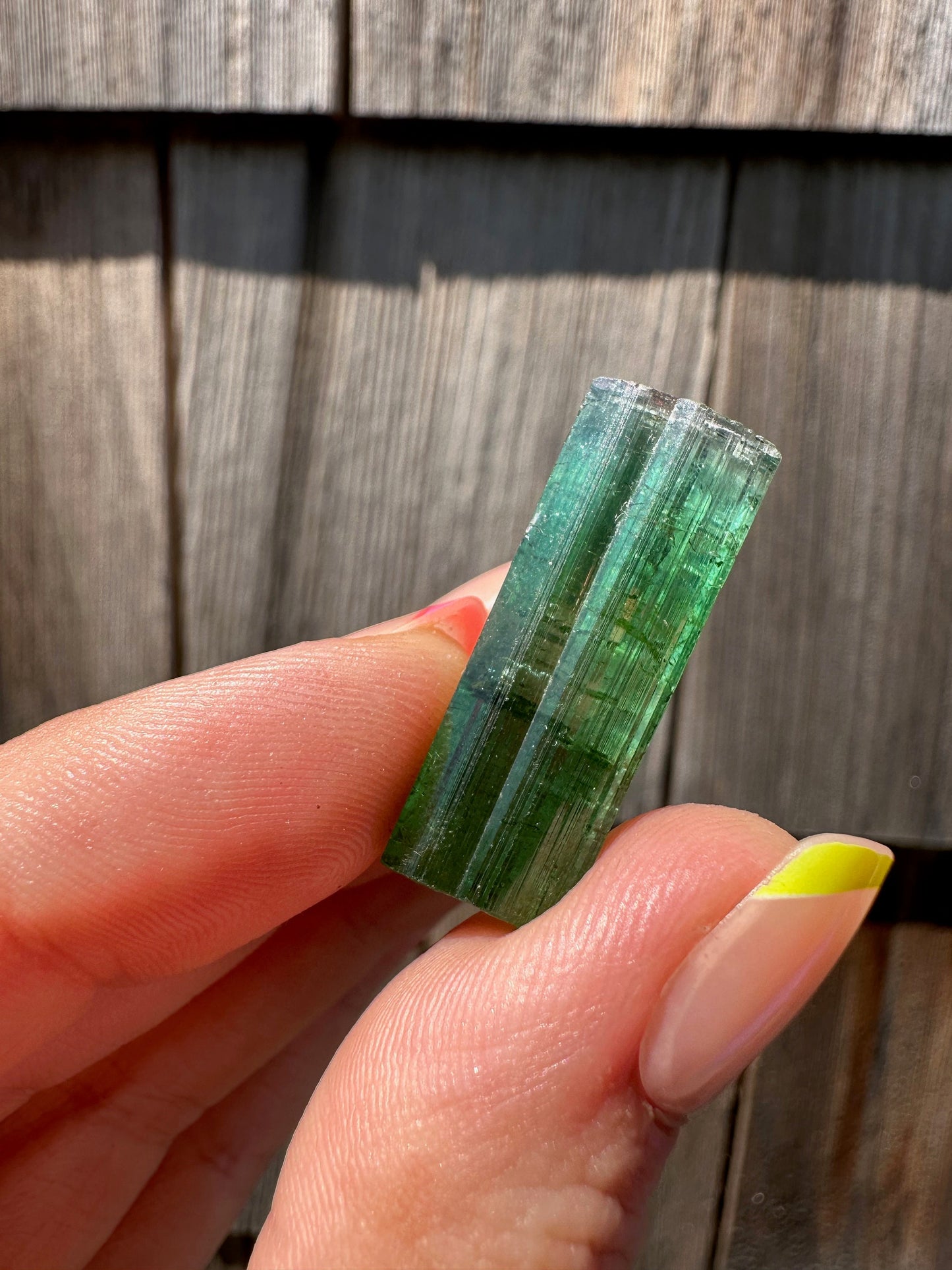 Gem Elbaite Tourmaline Crystal from Brazil