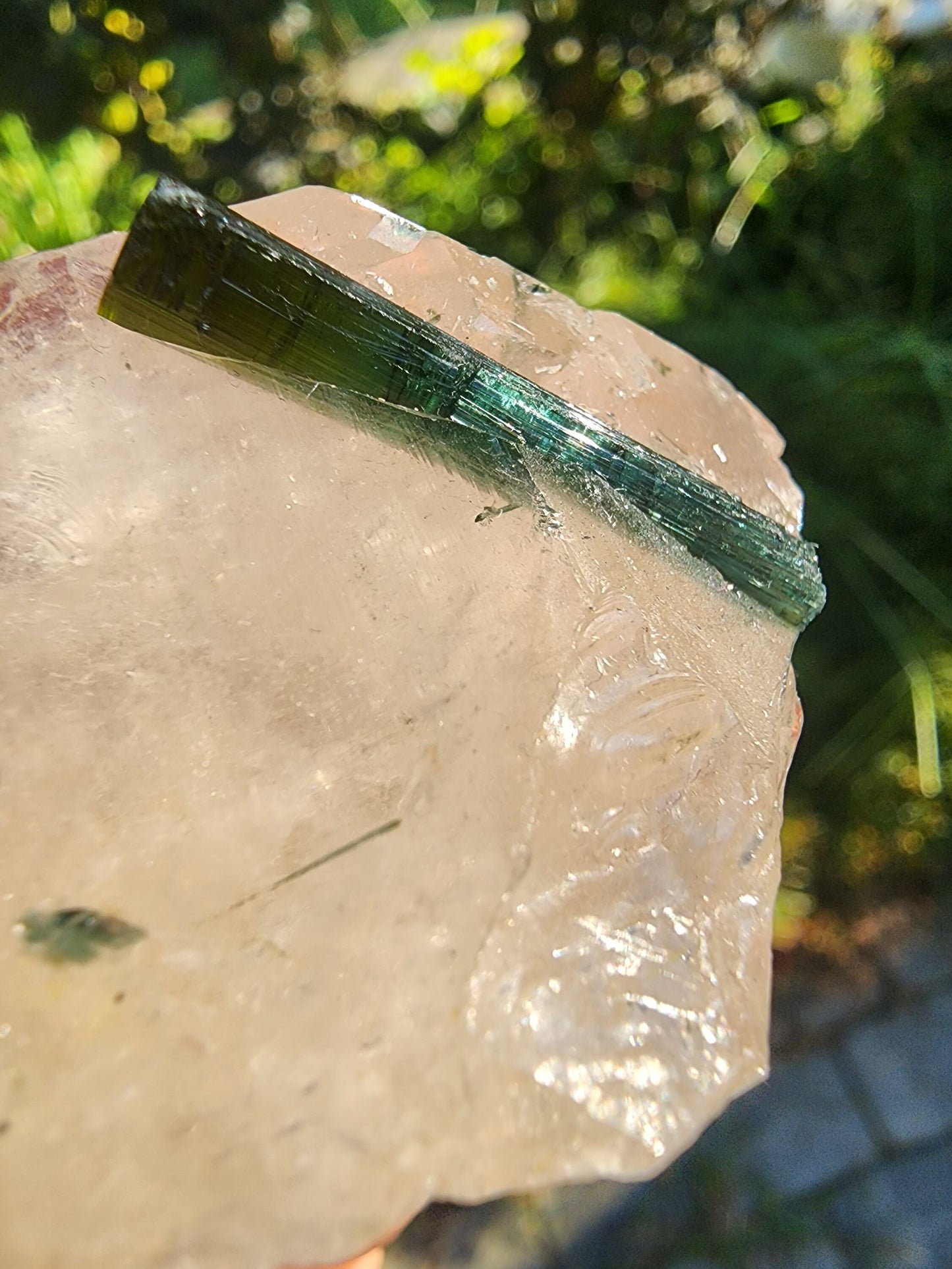 Tourmaline in Quartz from Minas Gerais, Brazil