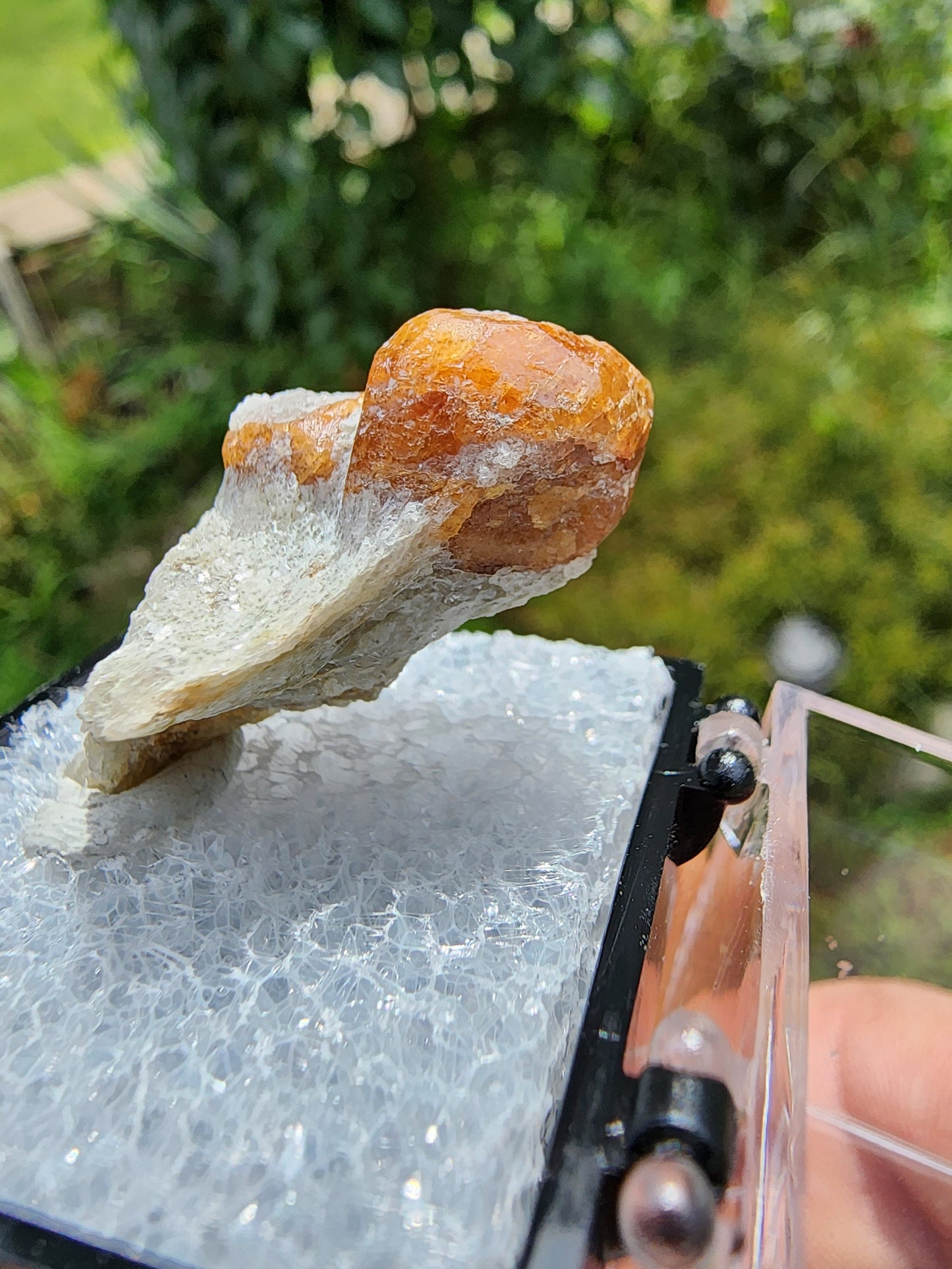 Spessartine Garnet on Muscovite from New Mexico USA