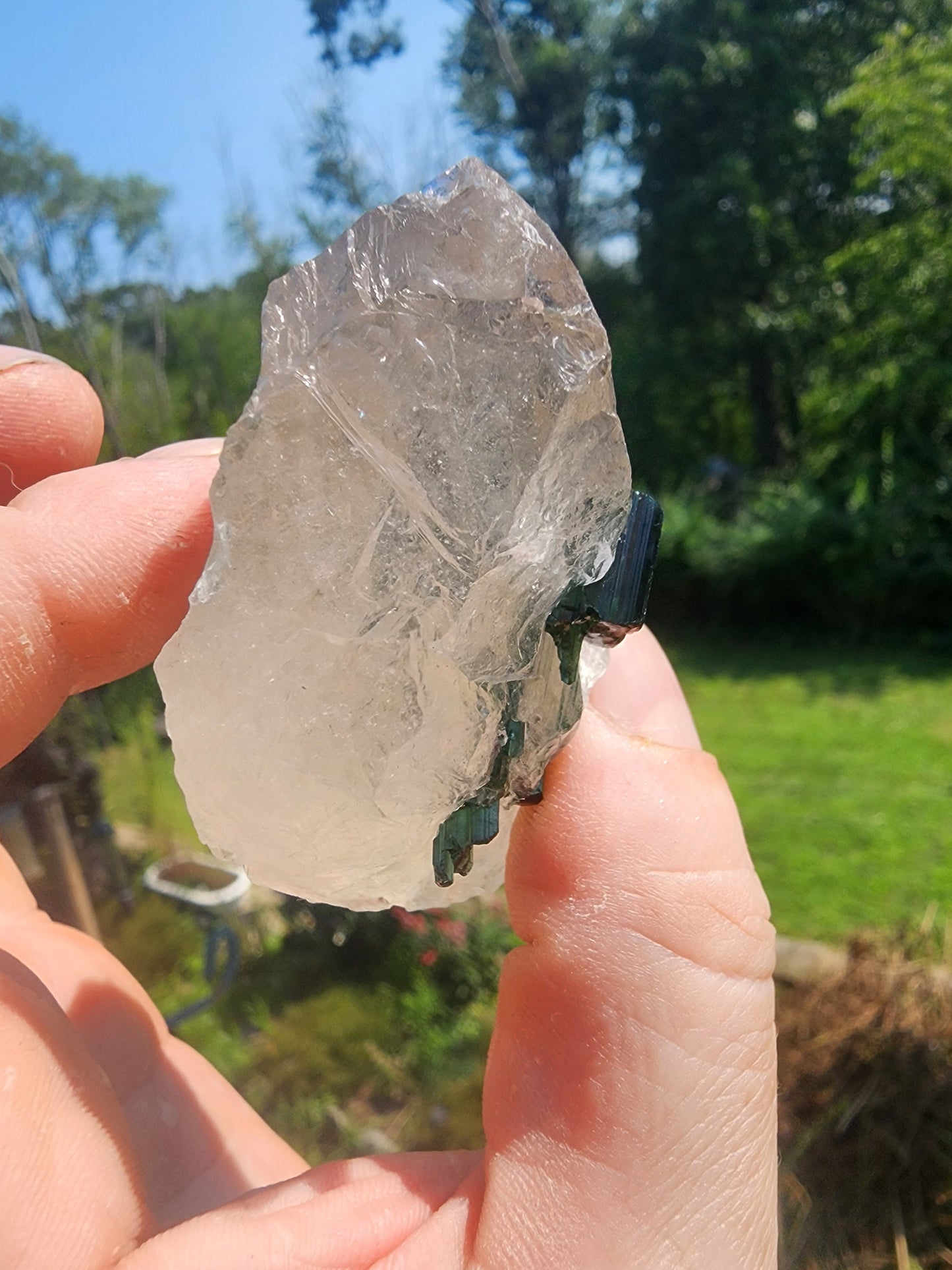 Tourmaline in Quartz from Minas Gerais, Brazil