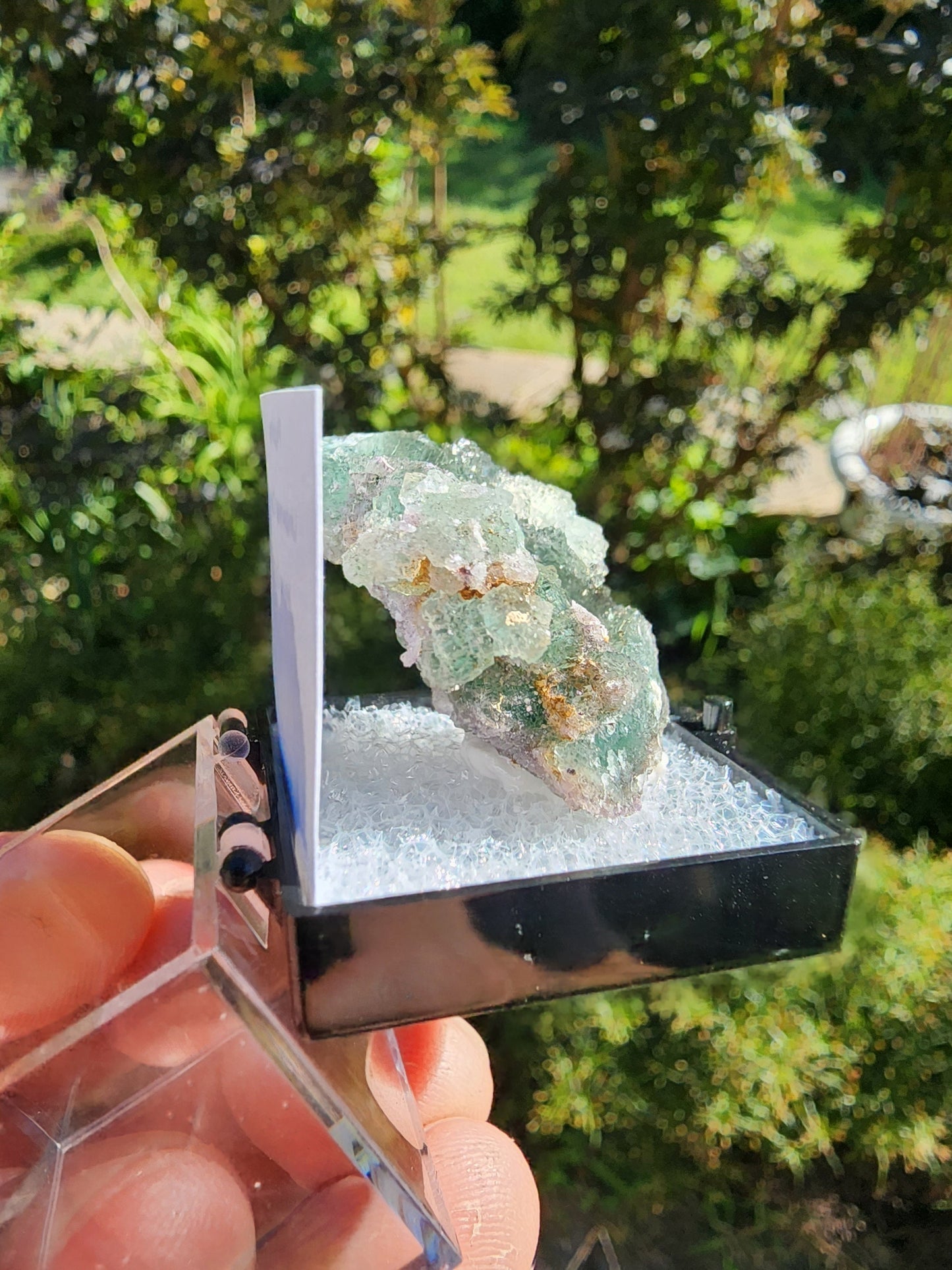 Unaweep Canyon Fluorite Crystal Cluster Mesa, Colorado