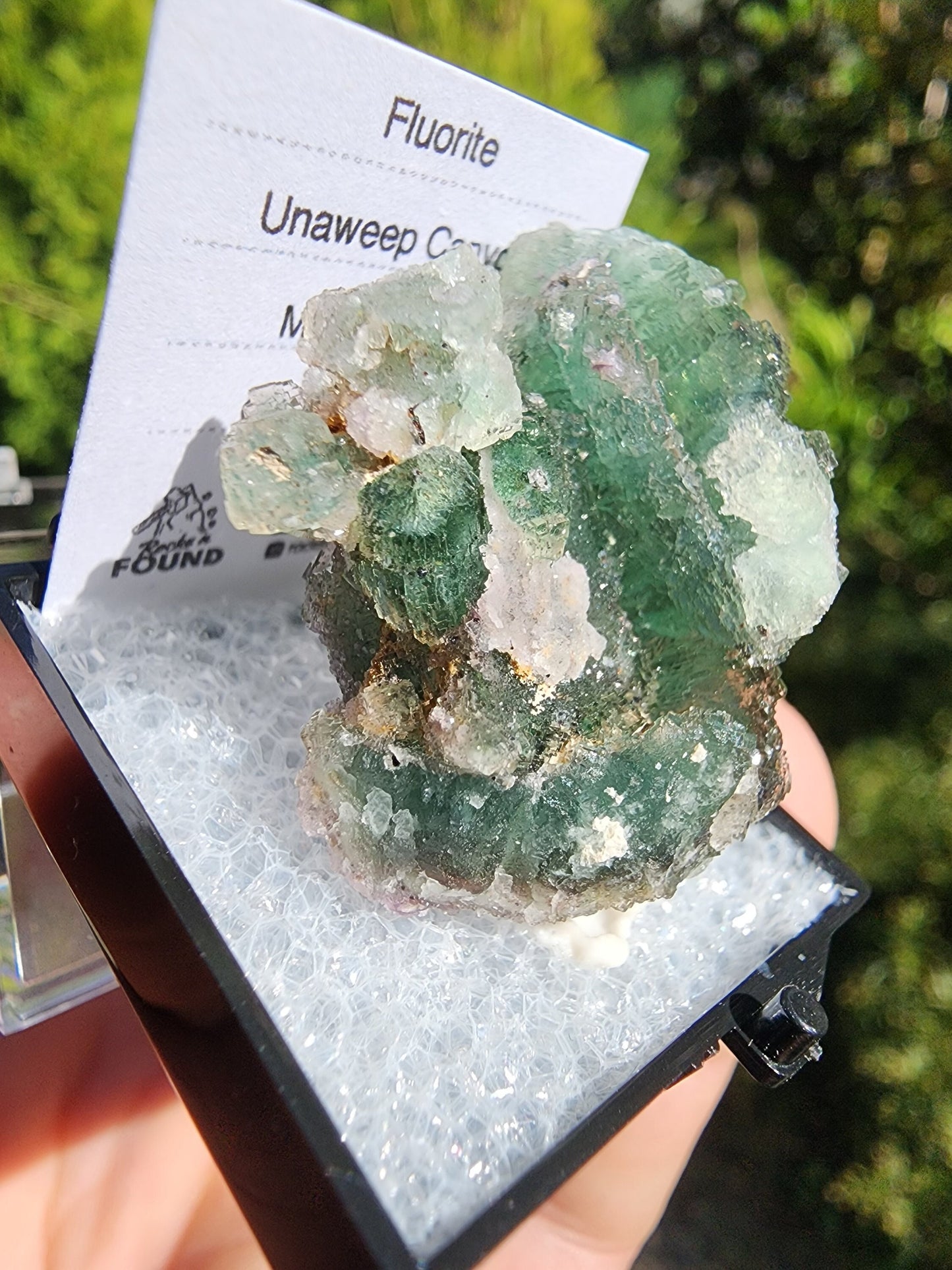 Unaweep Canyon Fluorite Crystal Cluster Mesa, Colorado