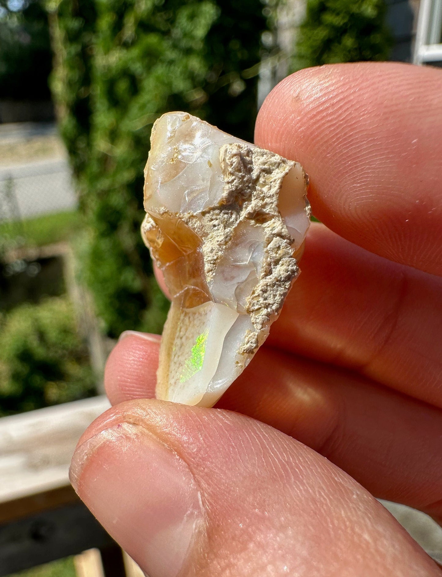 Fiery Rough Opal from Ethiopia