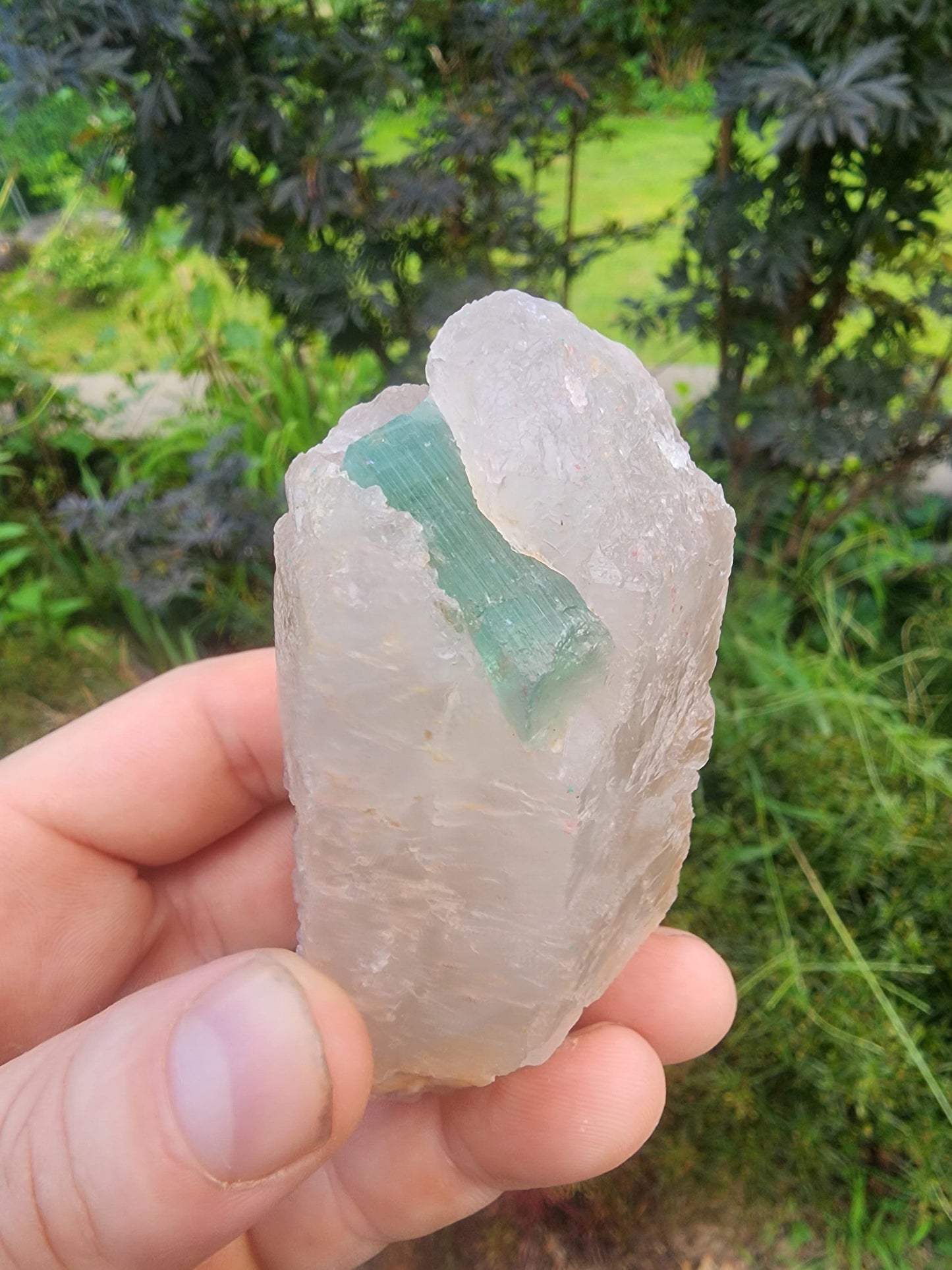 Tourmaline in DT Quartz from Minas Gerais, Brazil