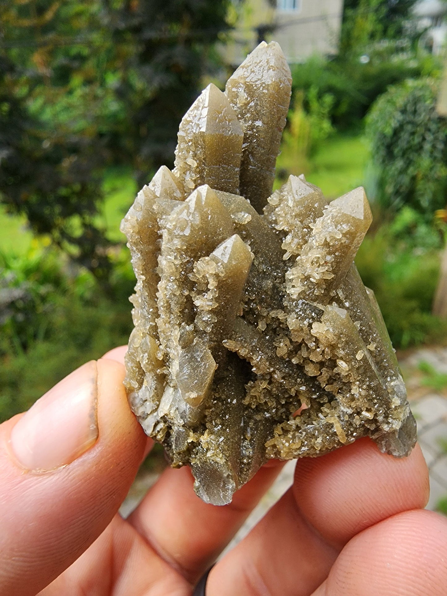 Hedenbergite in Quartz Cluster from Inner Mongolia