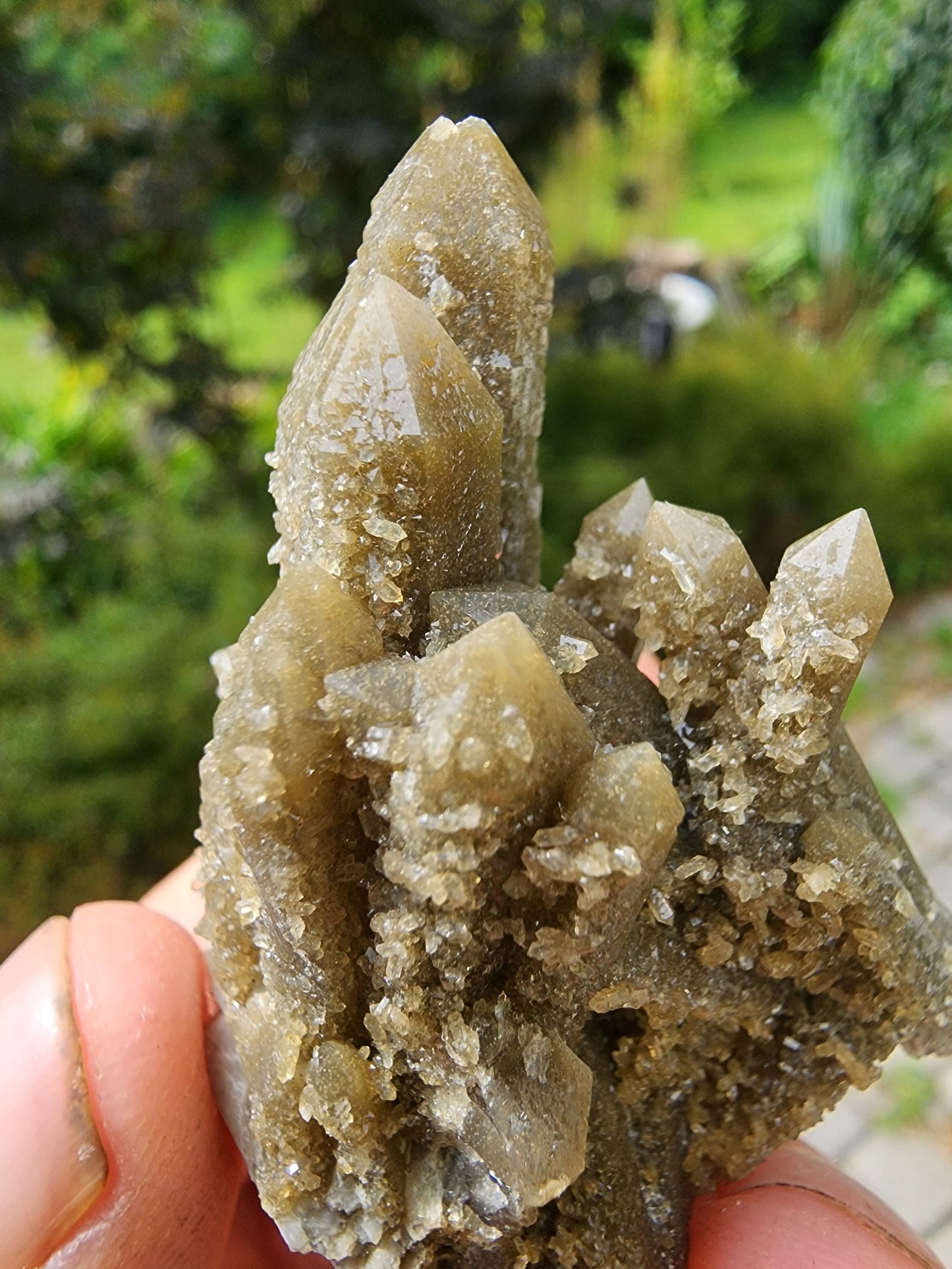 Hedenbergite in Quartz Cluster from Inner Mongolia