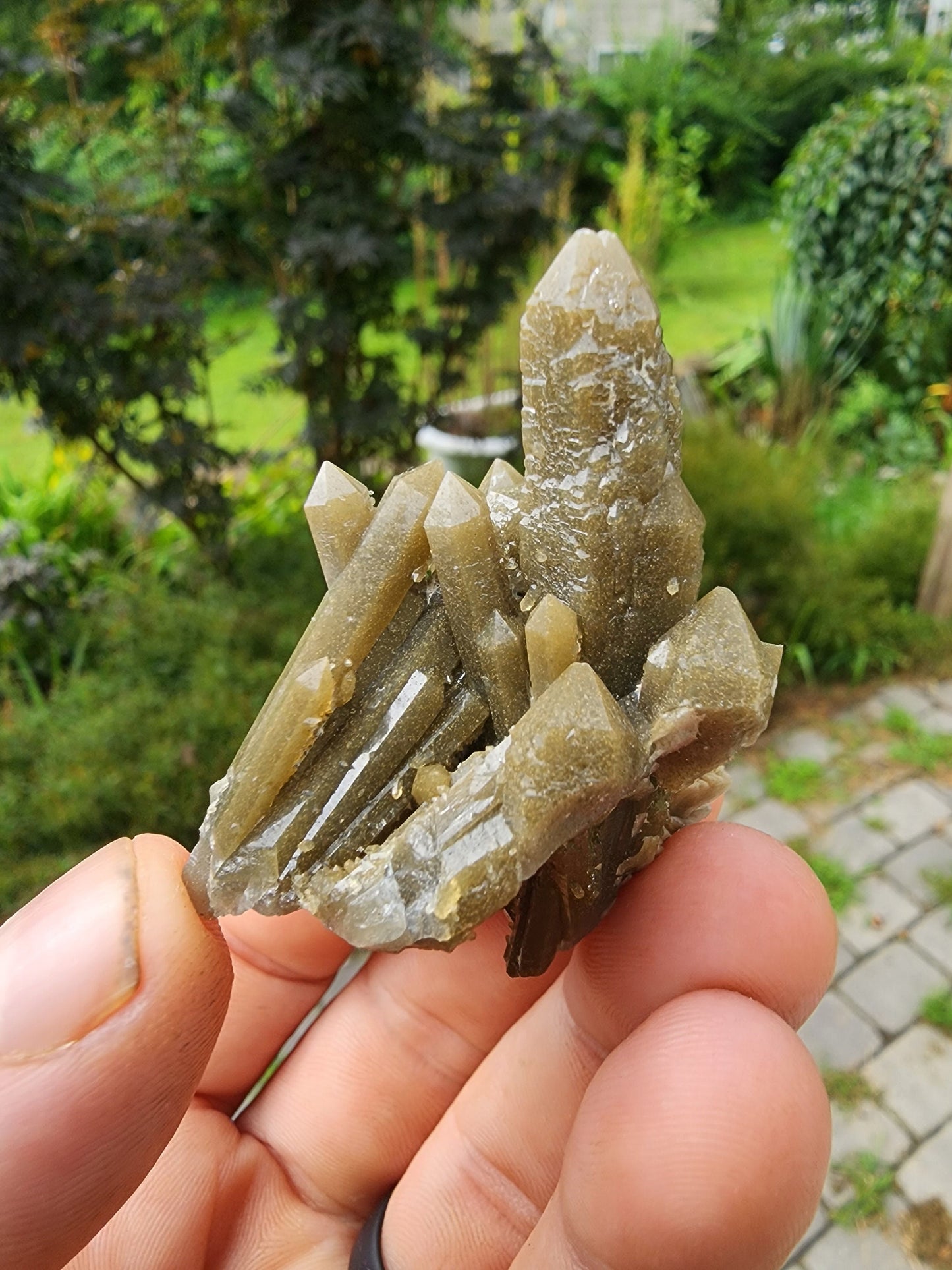 Hedenbergite in Quartz Cluster from Inner Mongolia