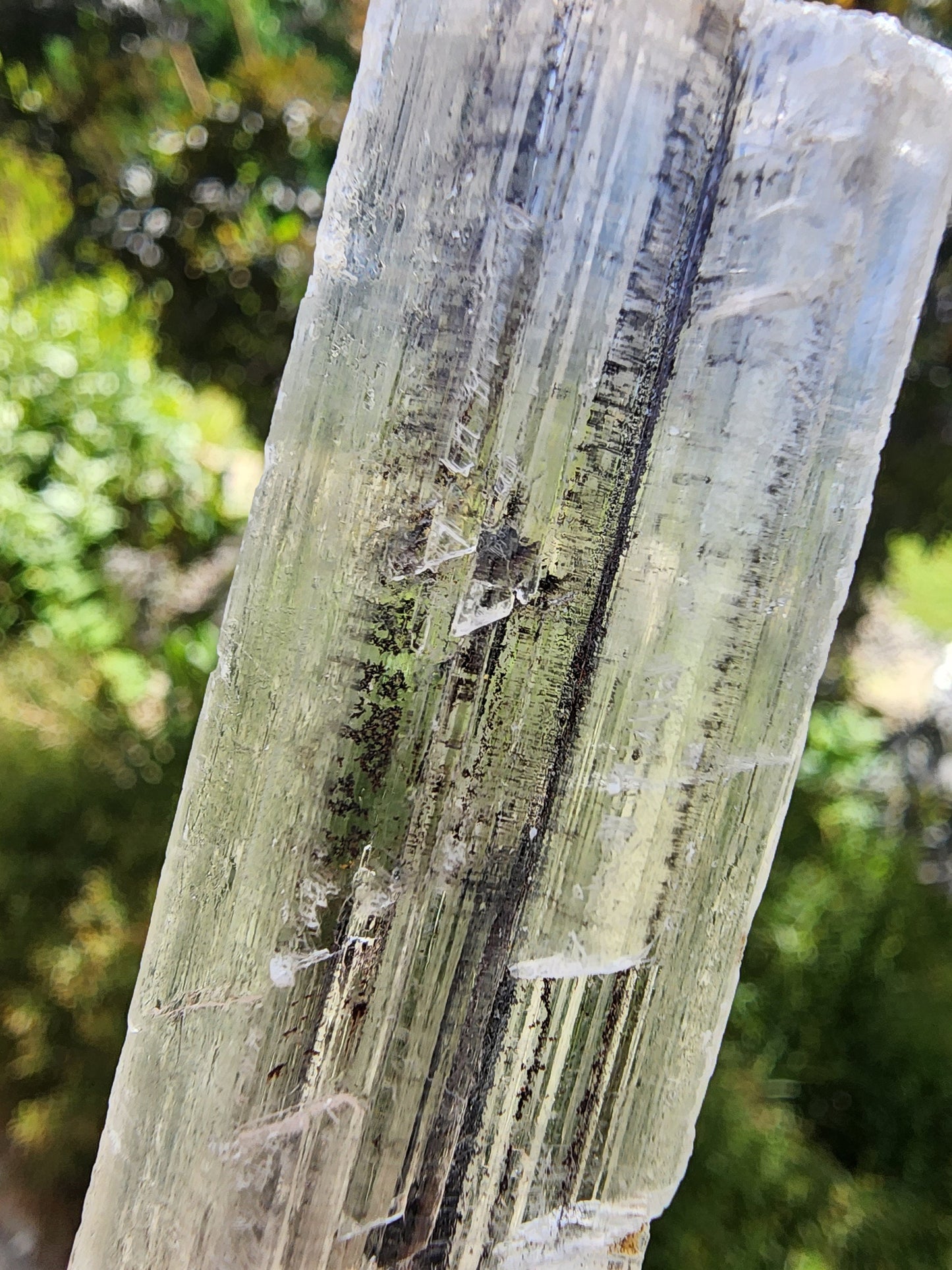 Stibnite Included Selenite Crystal from China