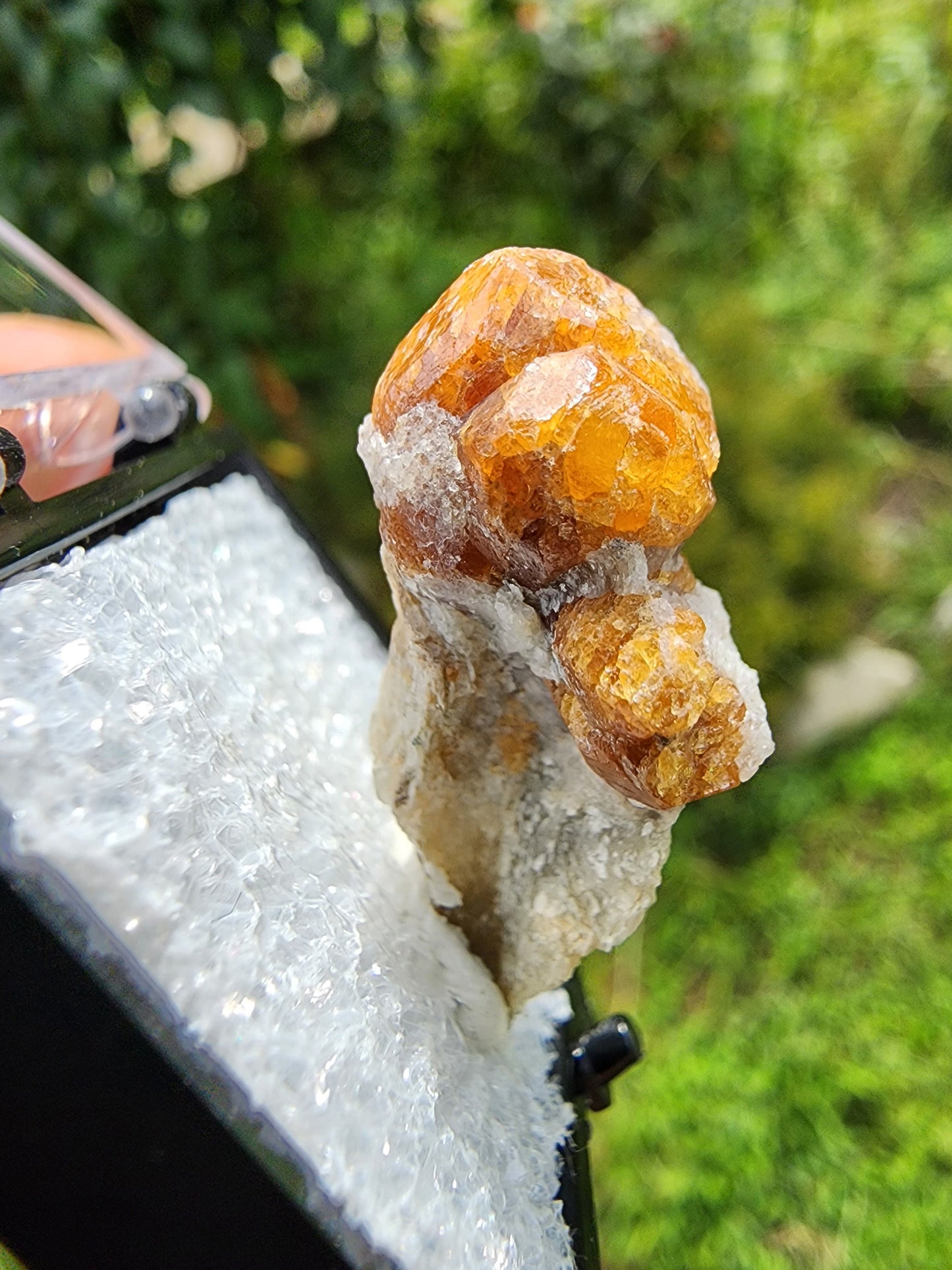 Spessartine Garnet on Muscovite from New Mexico USA