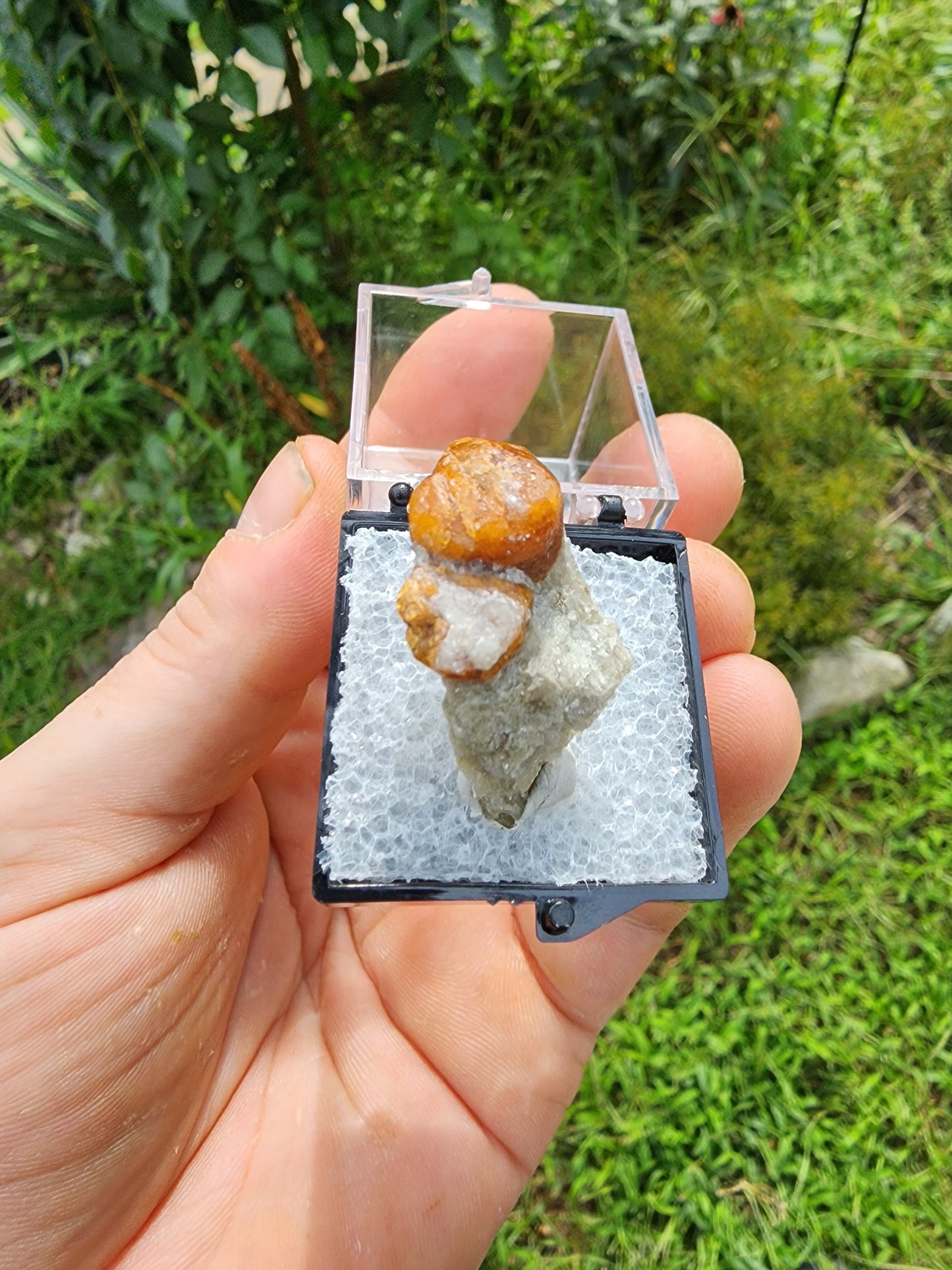 Spessartine Garnet on Muscovite from New Mexico USA
