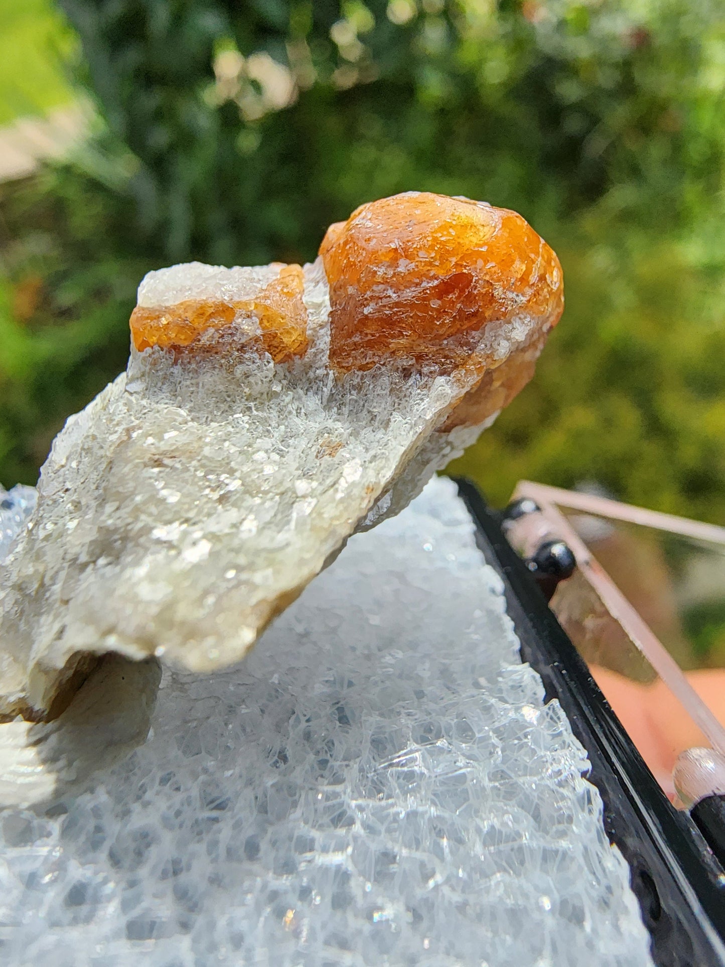 Spessartine Garnet on Muscovite from New Mexico USA