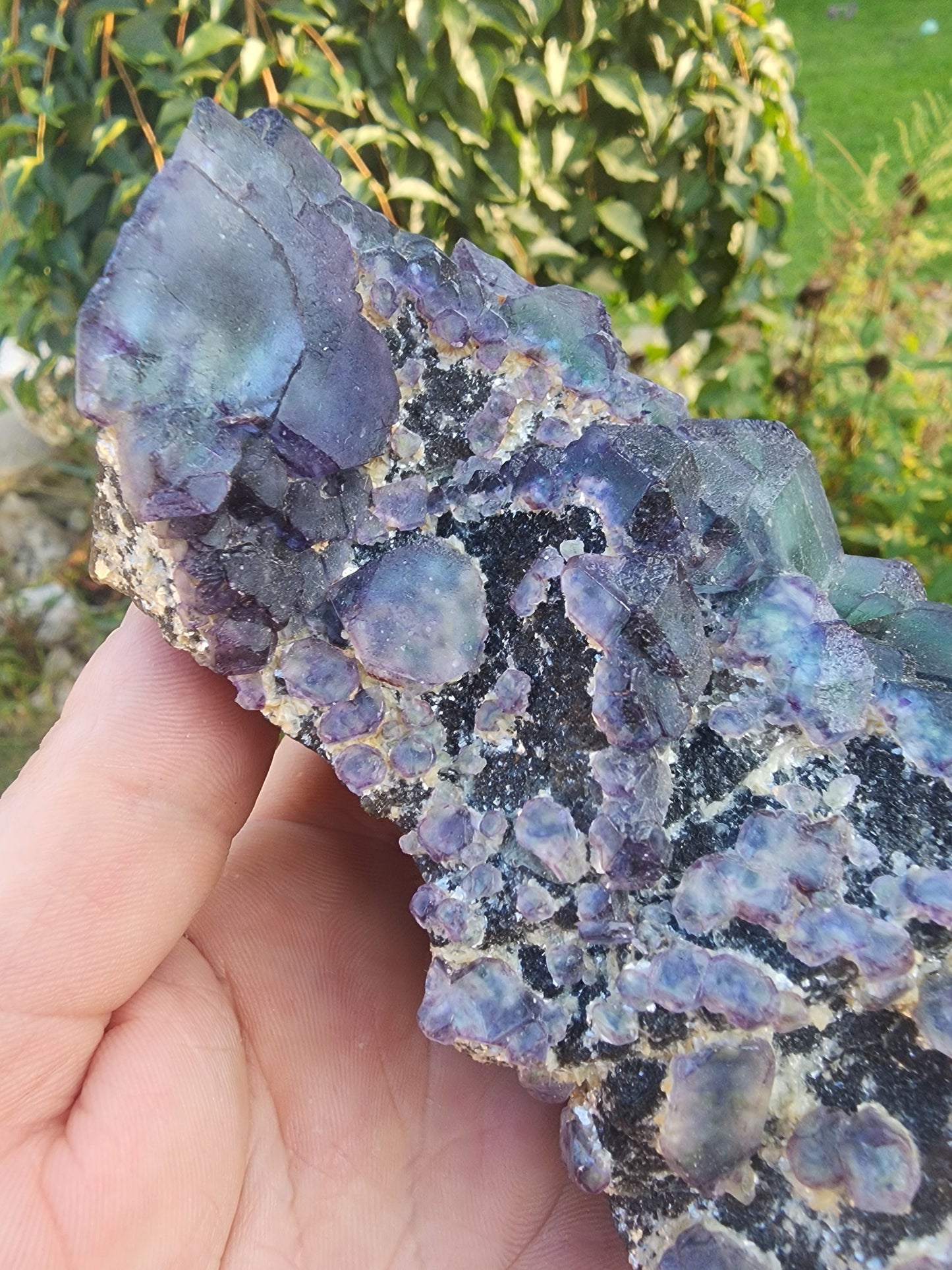 Okorusu Fluorite Large Cabinet Cluster from Namibia
