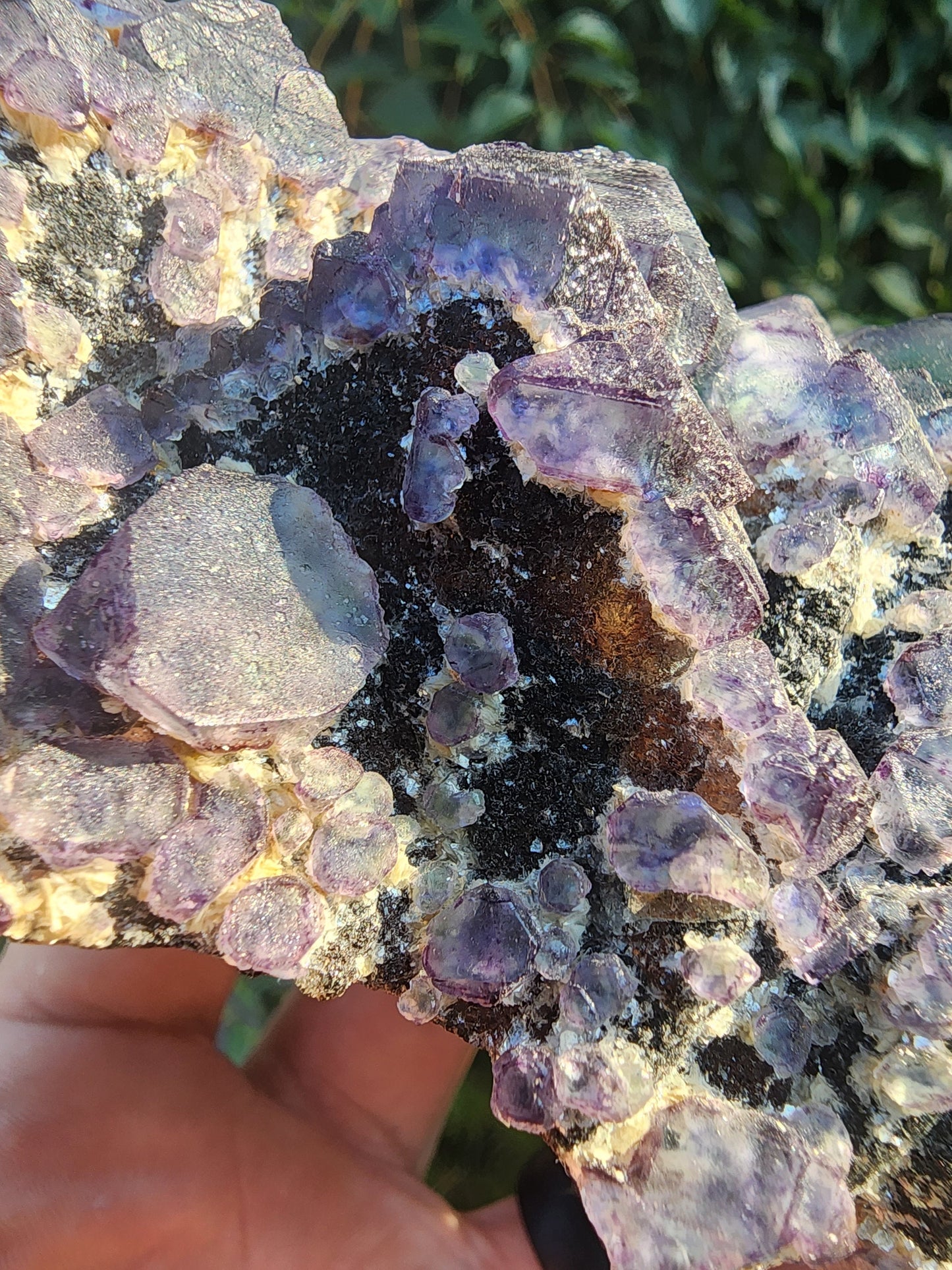 Okorusu Fluorite Large Cabinet Cluster from Namibia