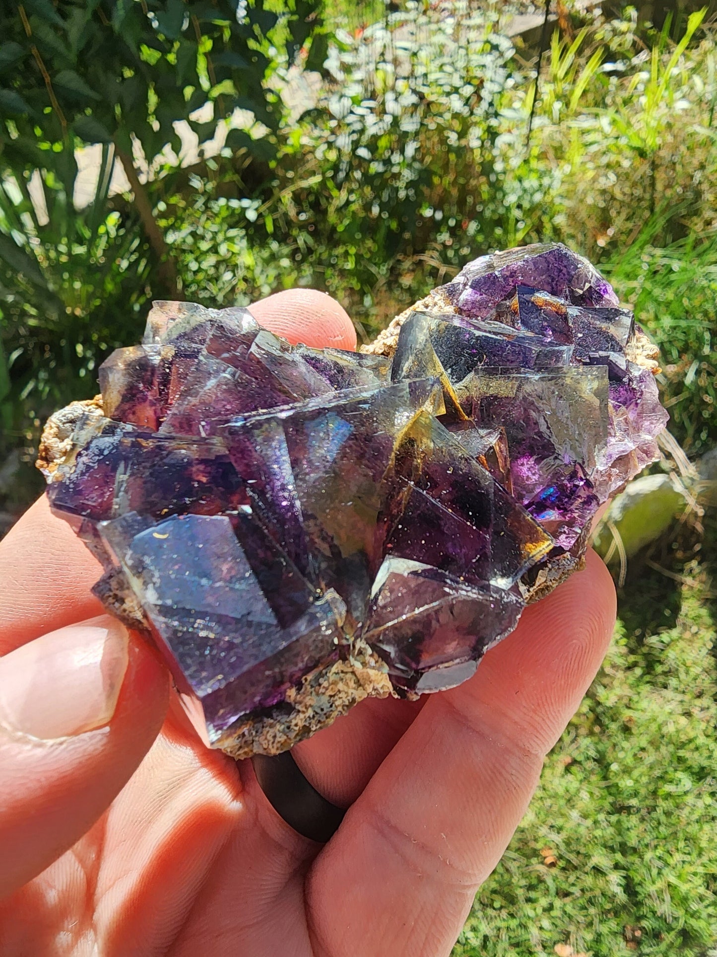 Fluorite from Yindu Mine, Inner Mongolia, China