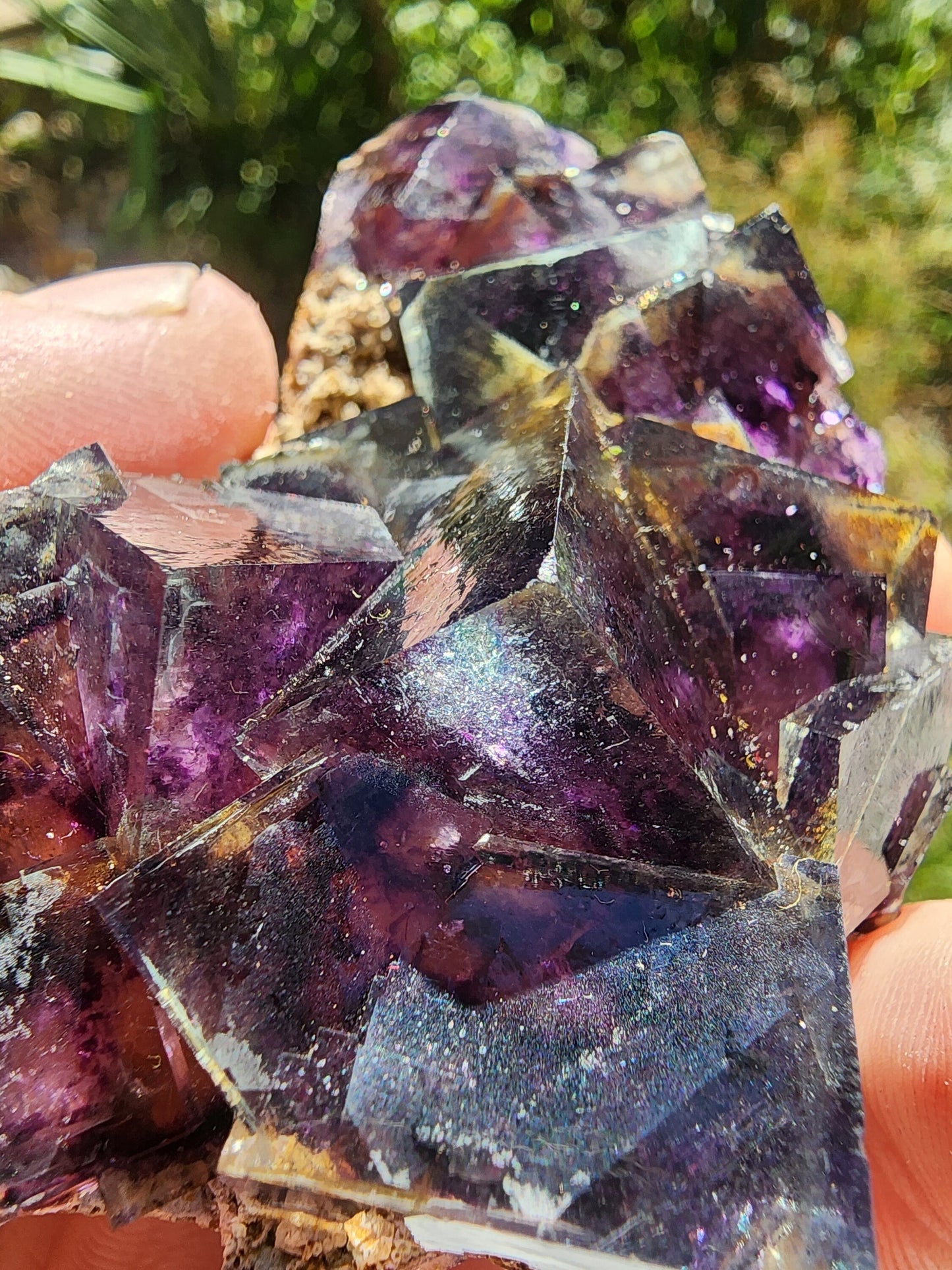 Fluorite from Yindu Mine, Inner Mongolia, China