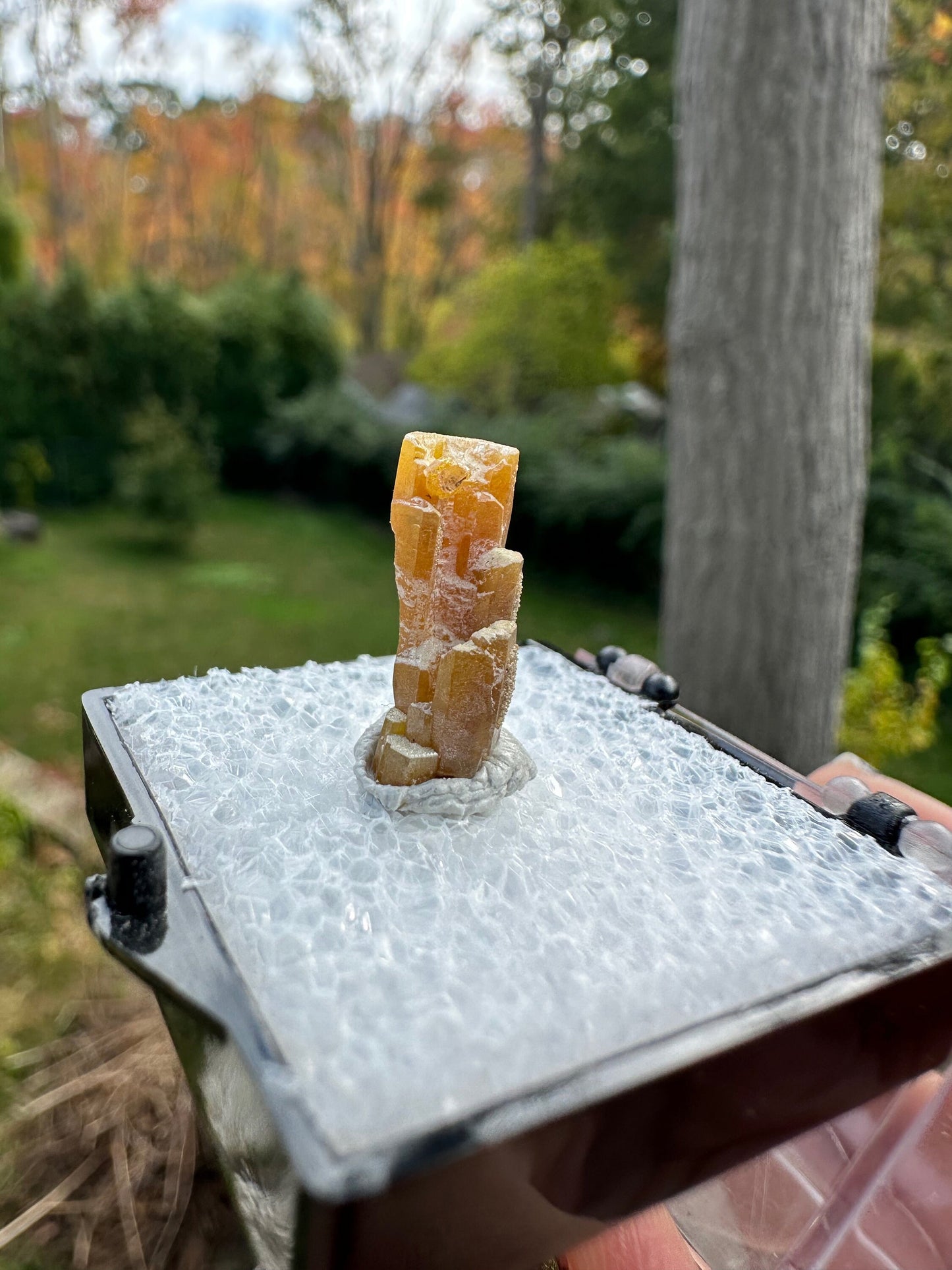 Hoppered Pyromorphite Crystal from Bunker Hill Mine Idaho USA