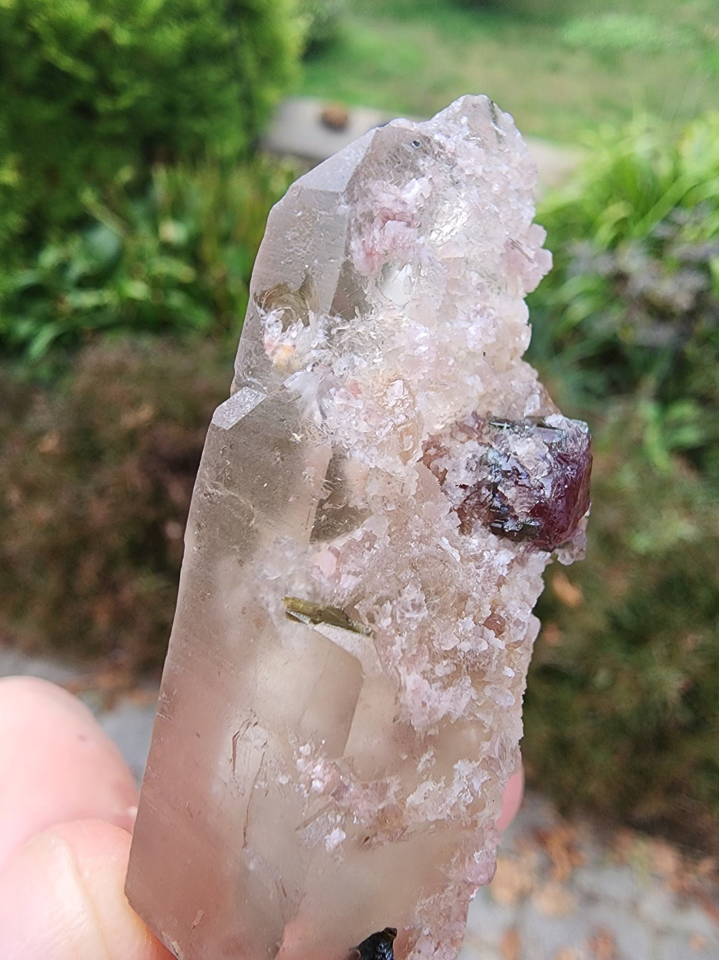 Watermelon Tourmaline in Quartz from Minas Gerais, Brazil