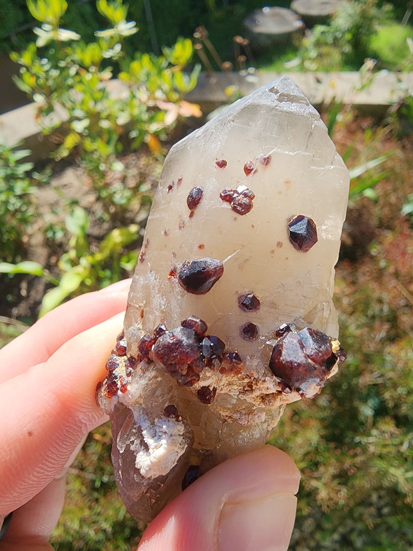 Red Spessartine Garnets on and in Smoky Quartz Point from China