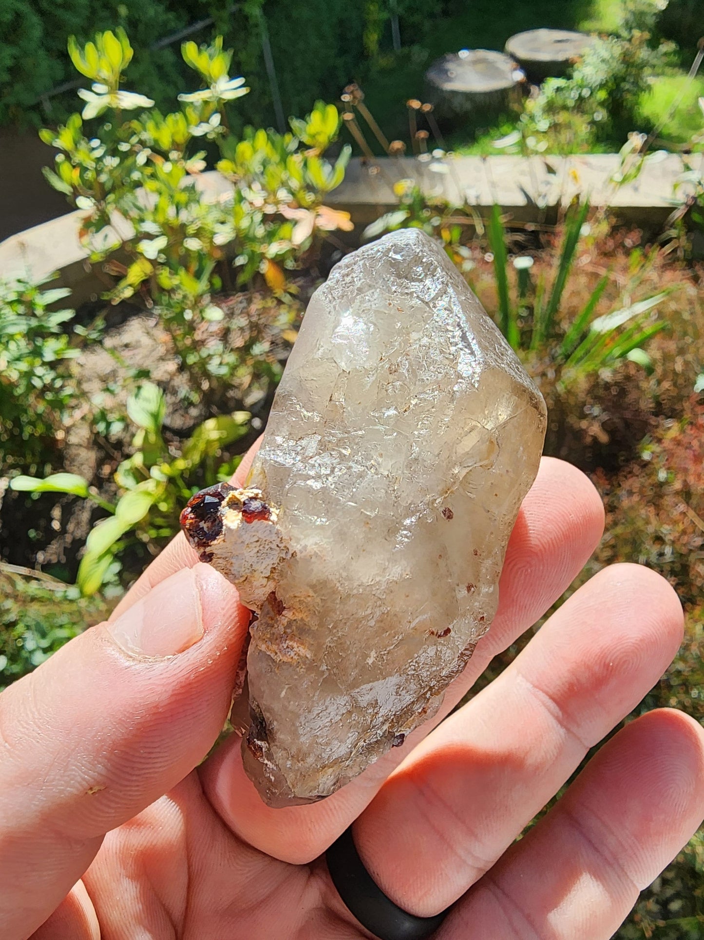 Red Spessartine Garnets on and in Smoky Quartz Point from China