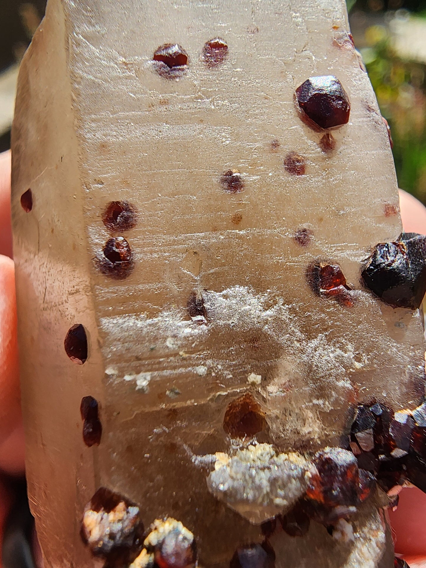 Red Spessartine Garnets on and in Smoky Quartz Point from China