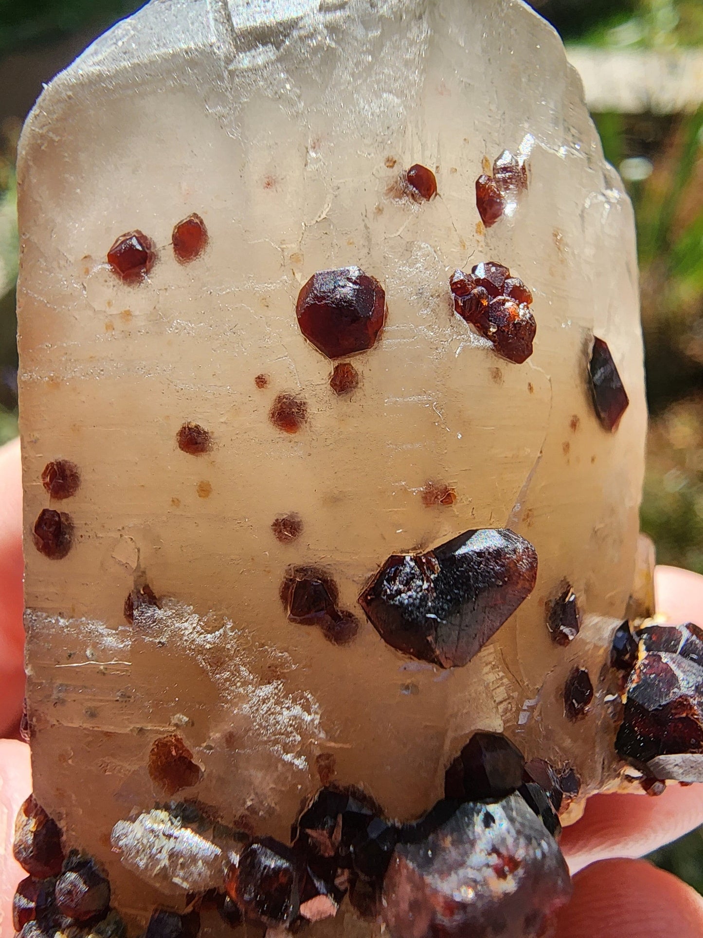 Red Spessartine Garnets on and in Smoky Quartz Point from China