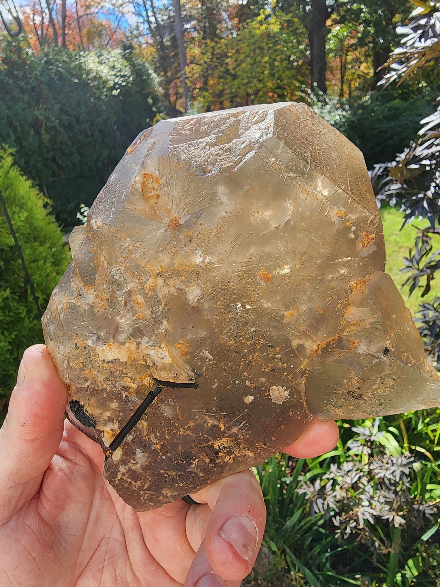 Citrine with Indicolite inclusions from Minas Gerais, Brazil