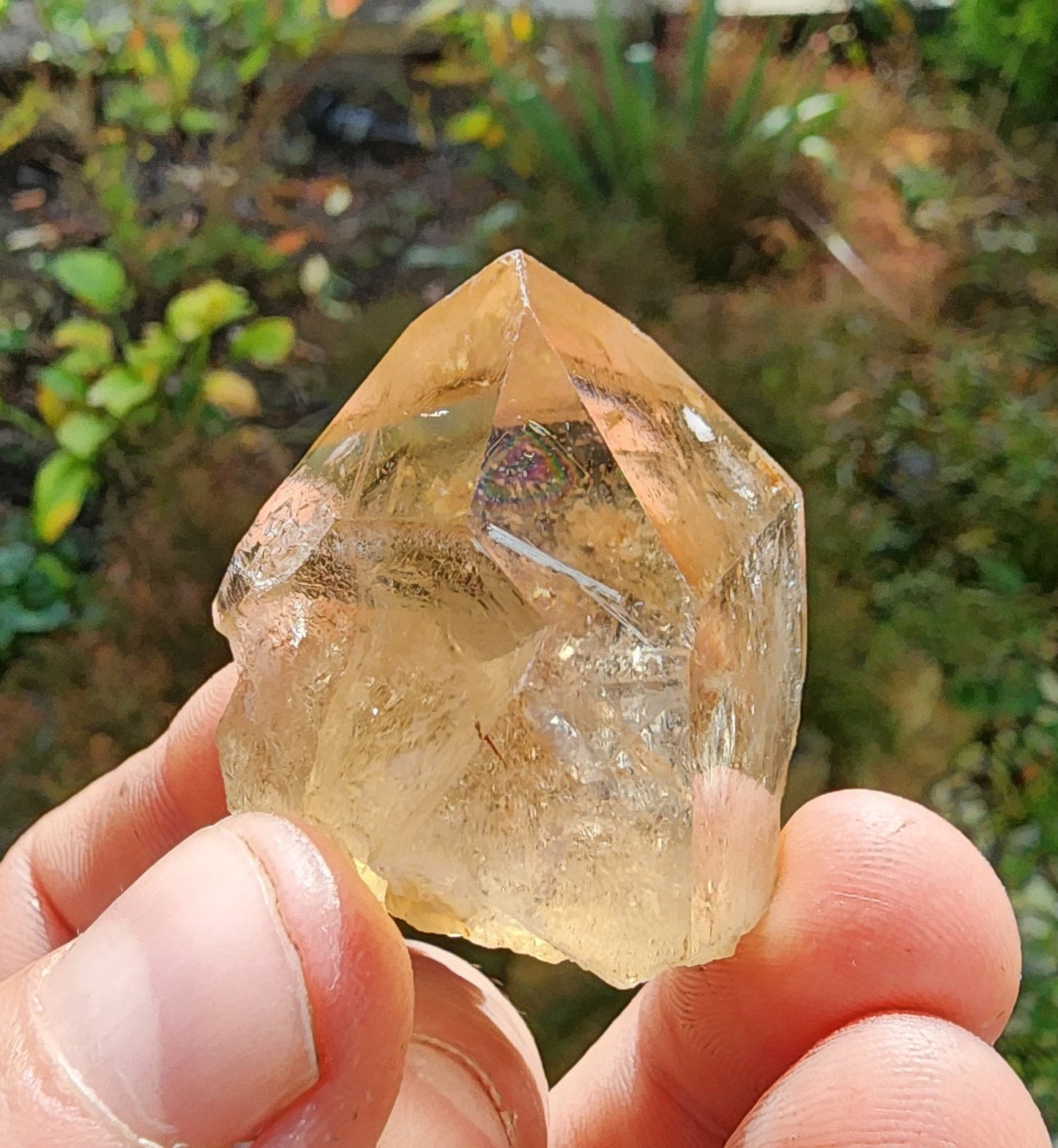 Natural Citrine Point with Phantoms from Minas Gerais, Brazil