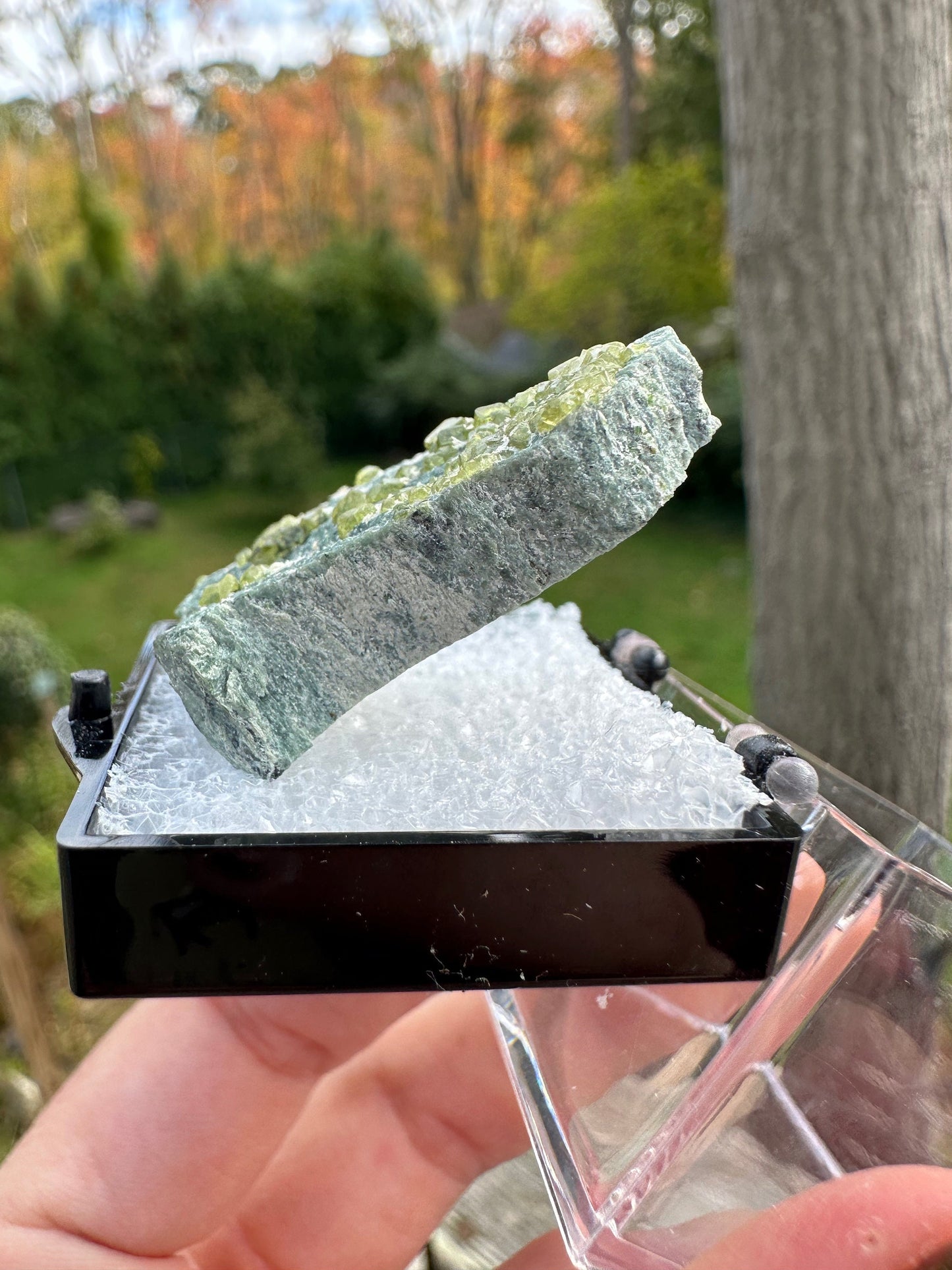 Demantoid Garnets on Matrix from Italy