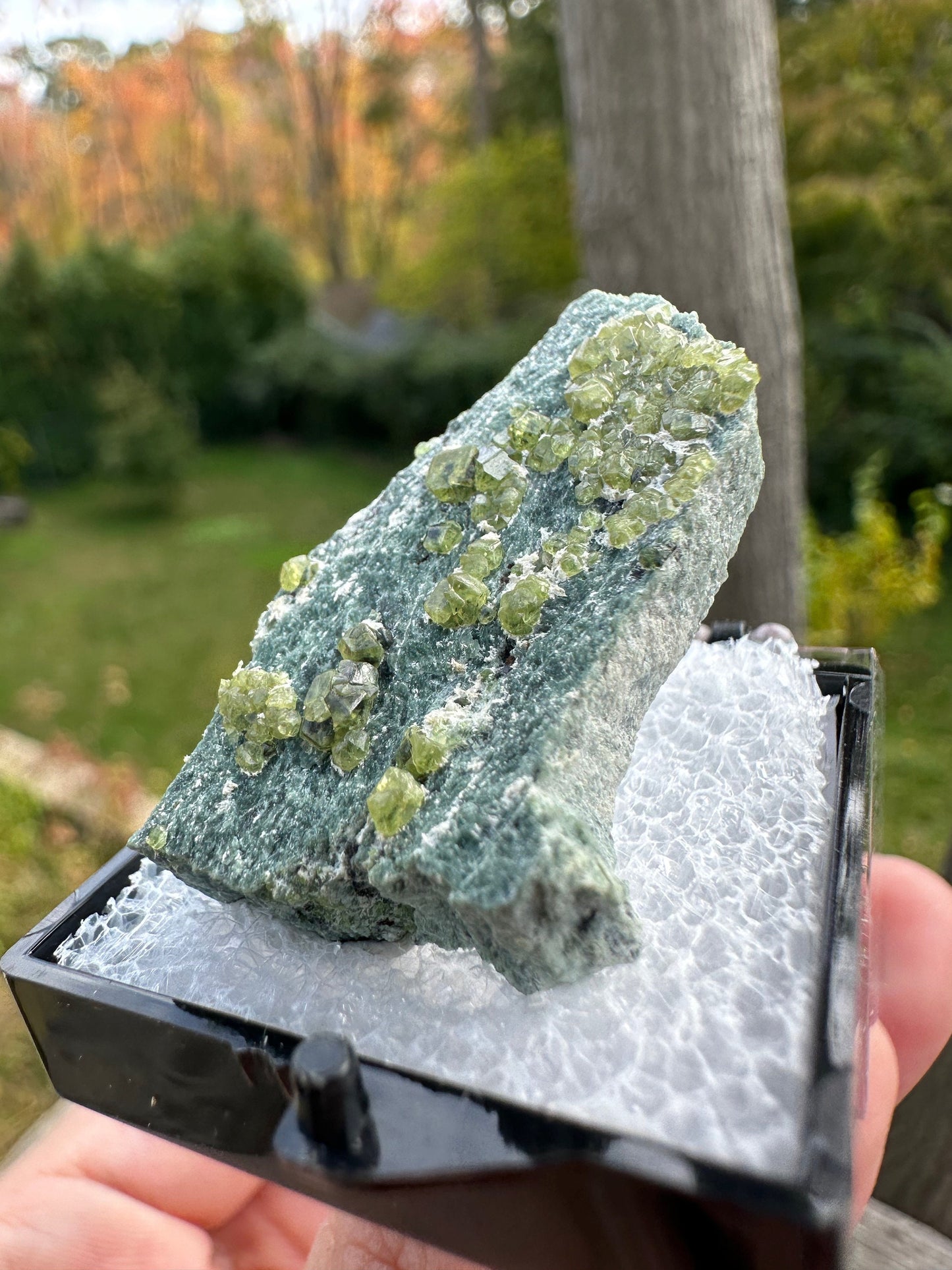 Demantoid Garnets on Matrix from Italy