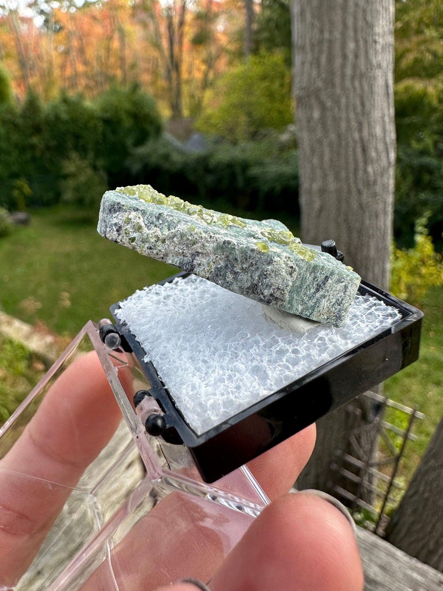 Demantoid Garnets on Matrix from Italy